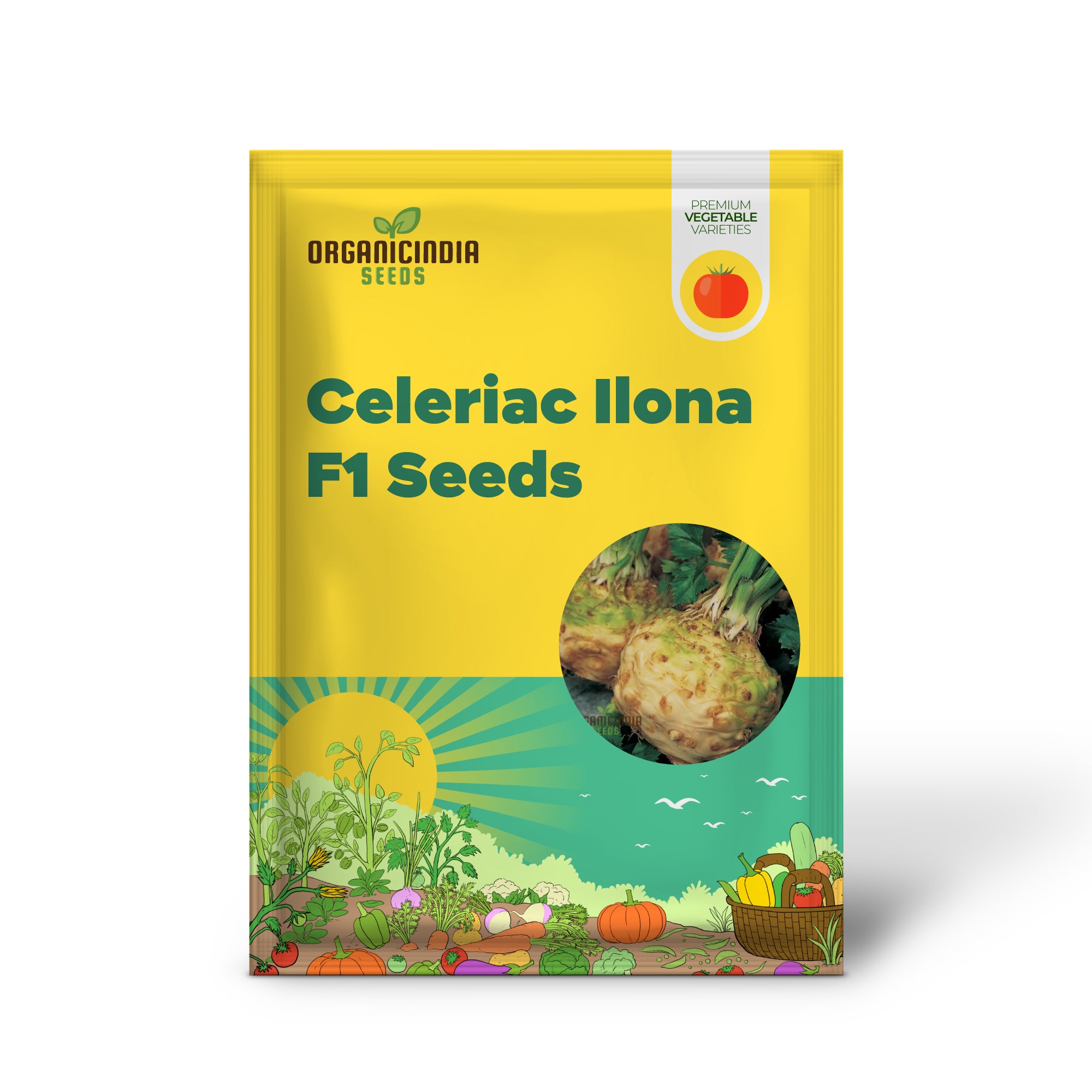 Ilona F1 Celeriac Seedling for Easy Home Gardening