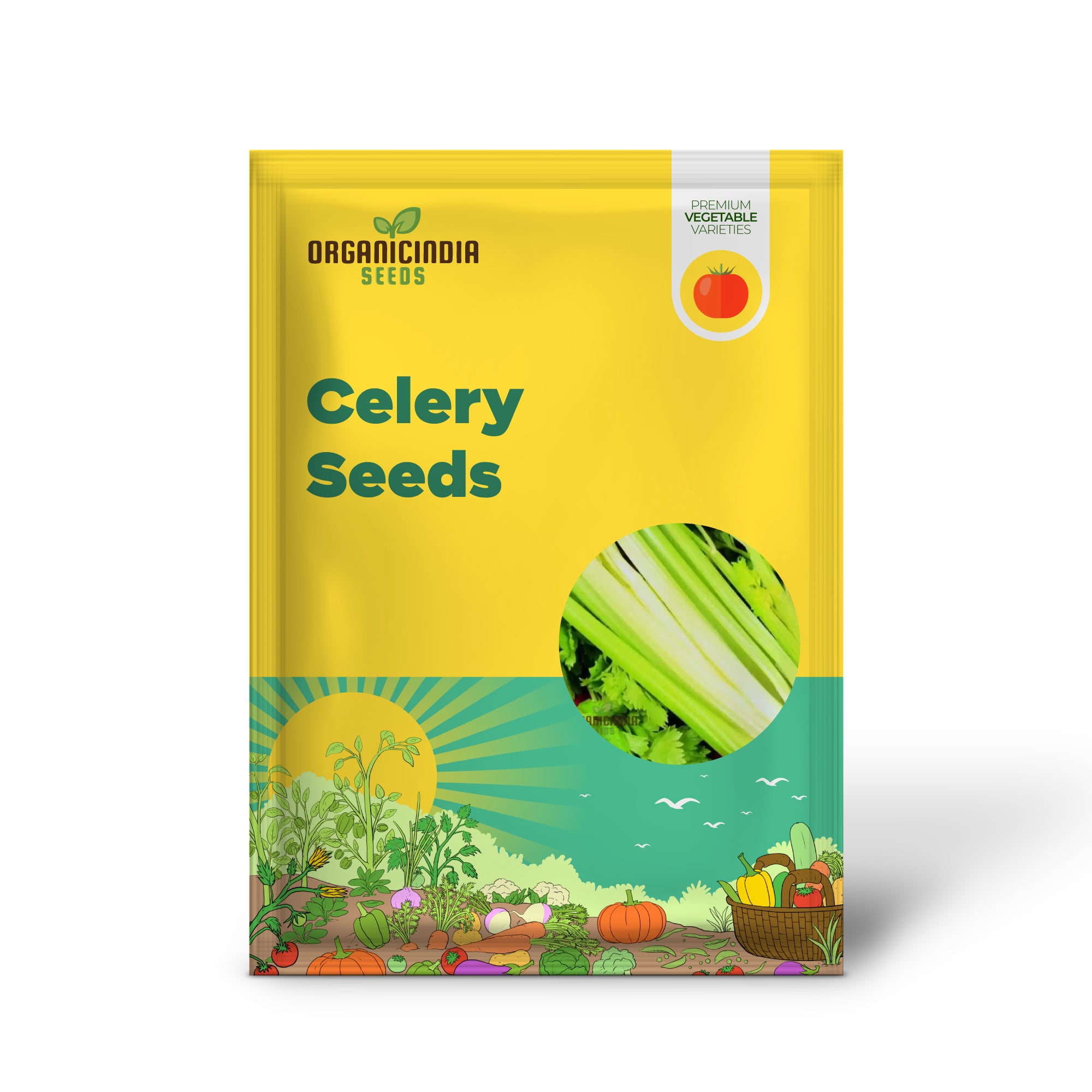 Celery Seedling from Golden Self Blanching Seeds, Easy-to-Grow Vegetable Plant