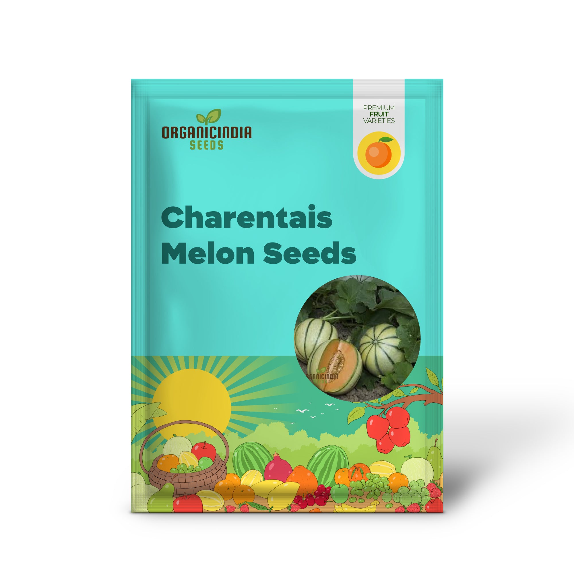 Young Charentais Melon Seedlings in Tray