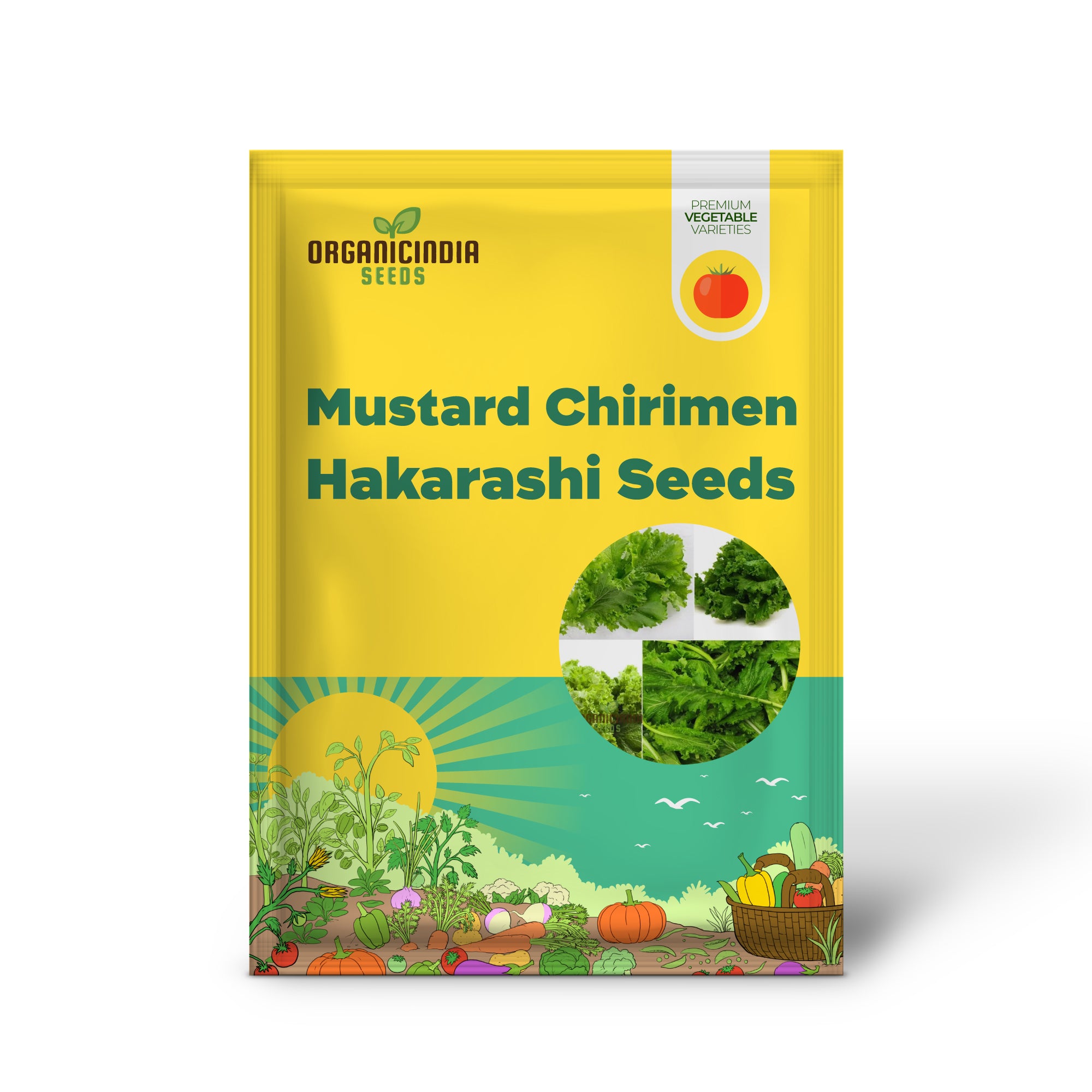 Chirimen Hakarashi Mustard Seedlings Growing in Garden