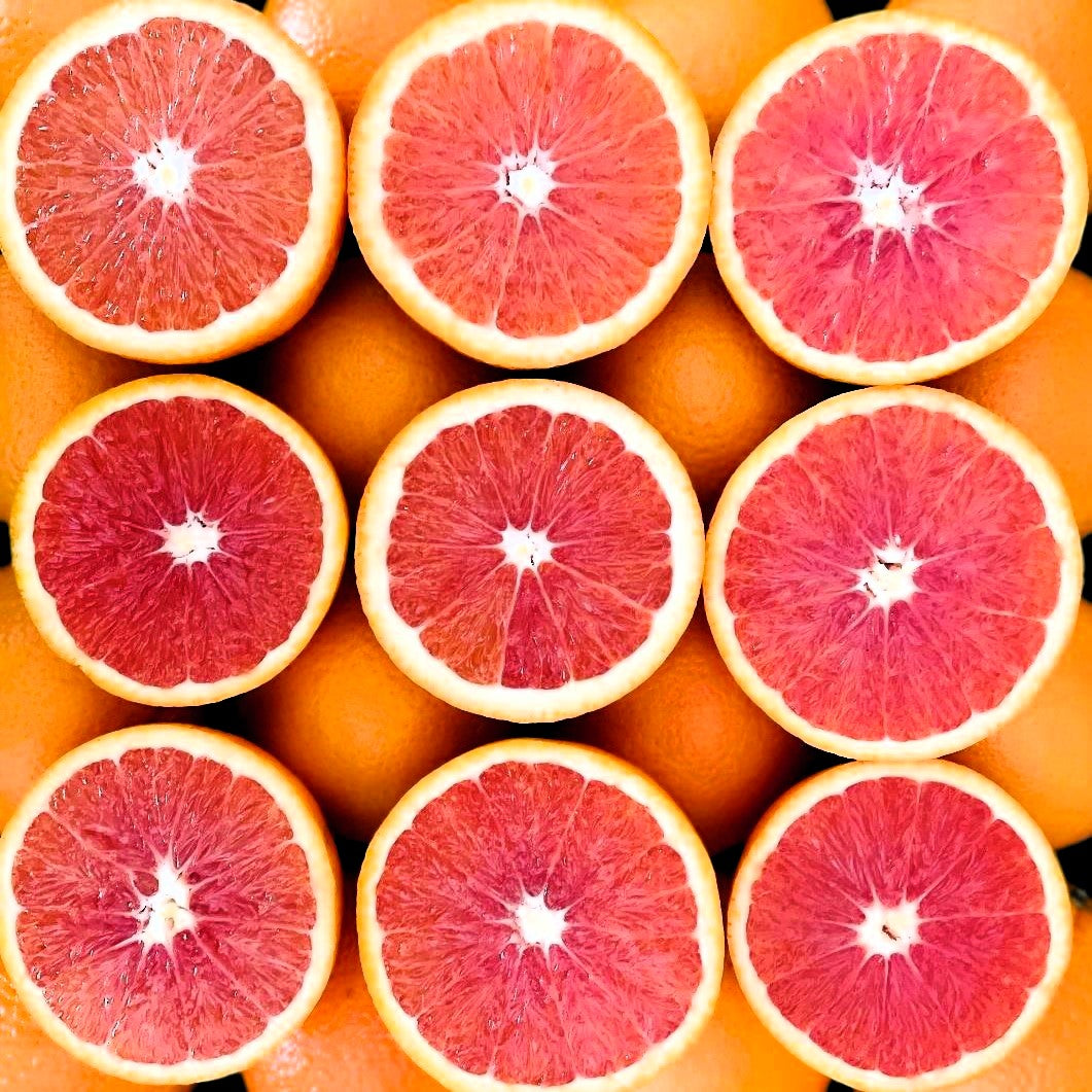 Citrus sinensis Cara Cara Orange Seeds for Home Garden