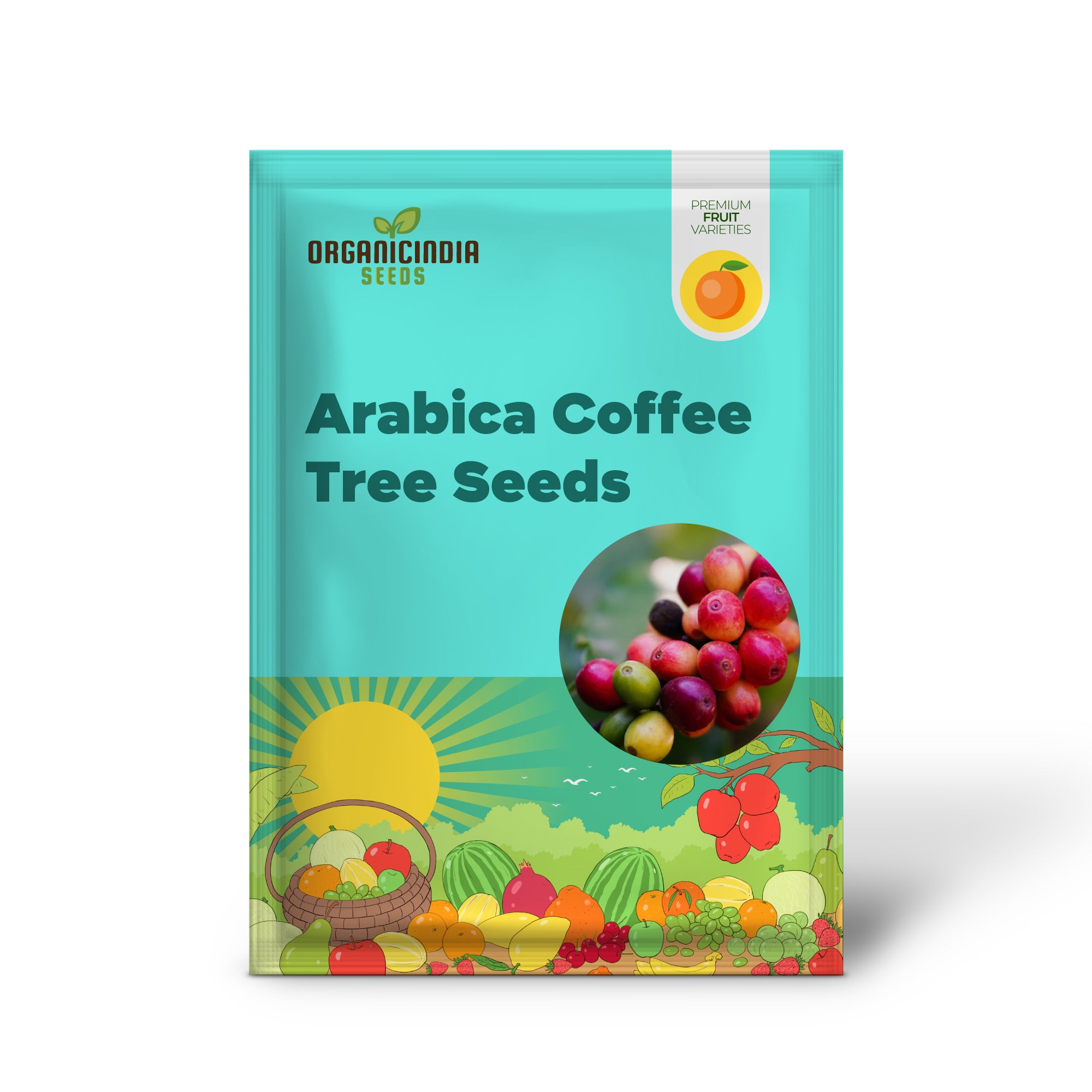 Non-GMO Coffea arabica coffee seeds for tropical gardening