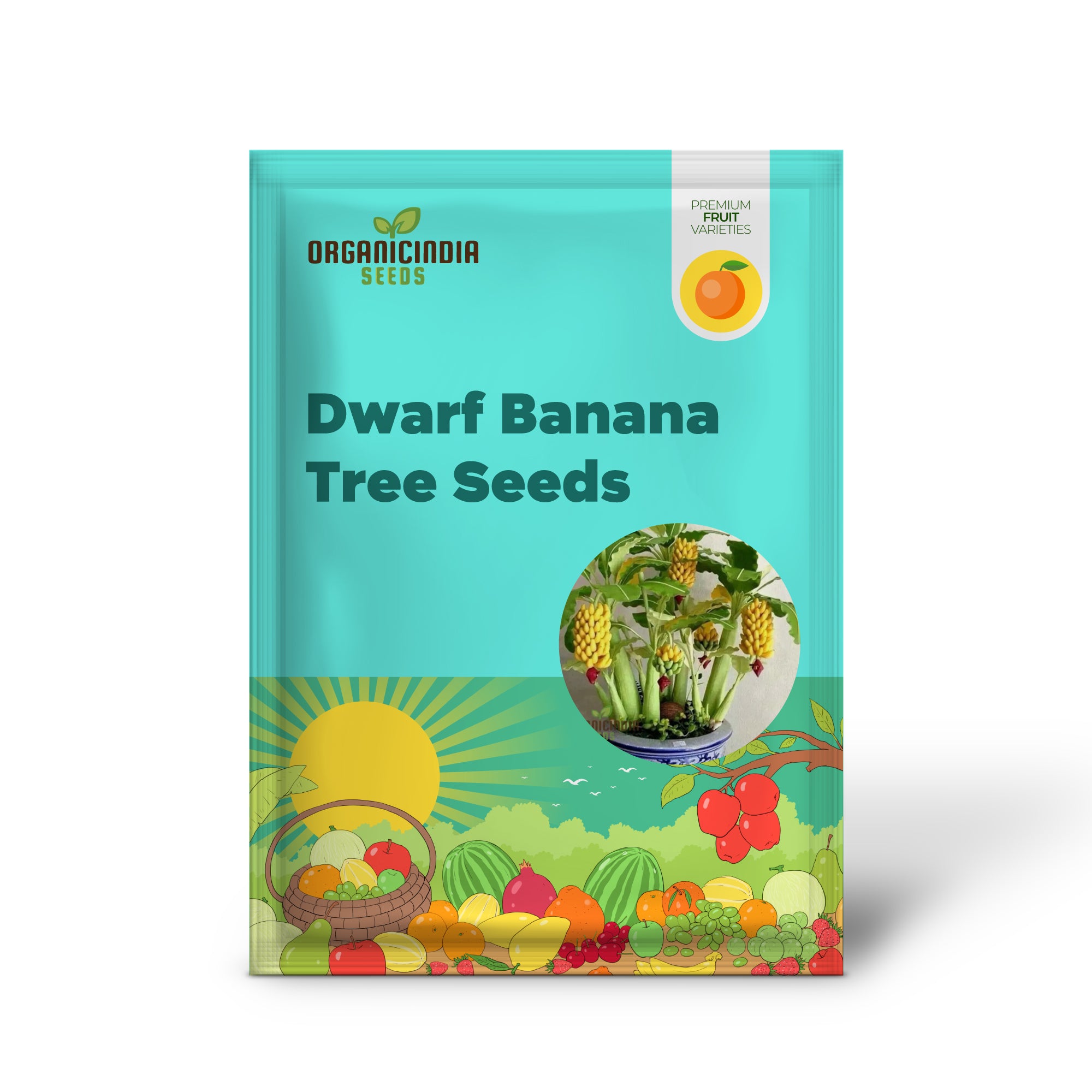 Compact dwarf banana plant seeds for home gardens