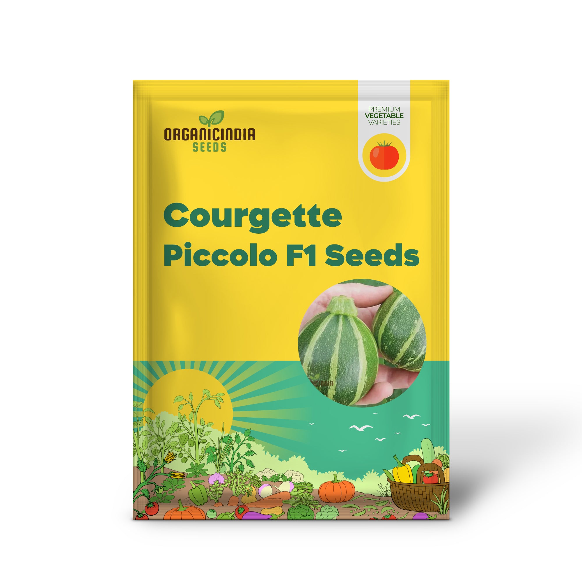 Piccolo Courgette Seedling in Garden, Compact Vegetable Seeds