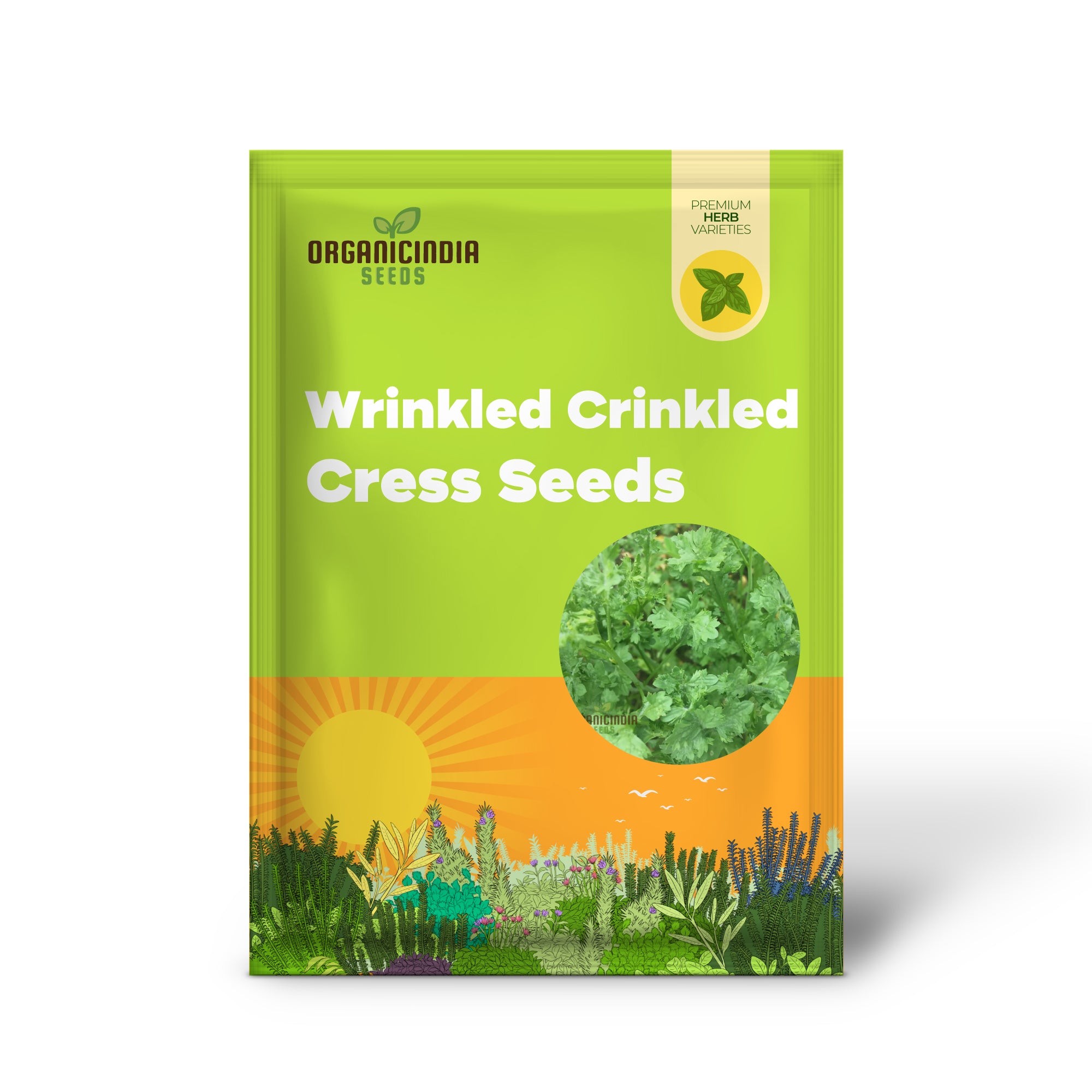 Wrinkled Crinkled Cress Seedling for Easy Home Gardening