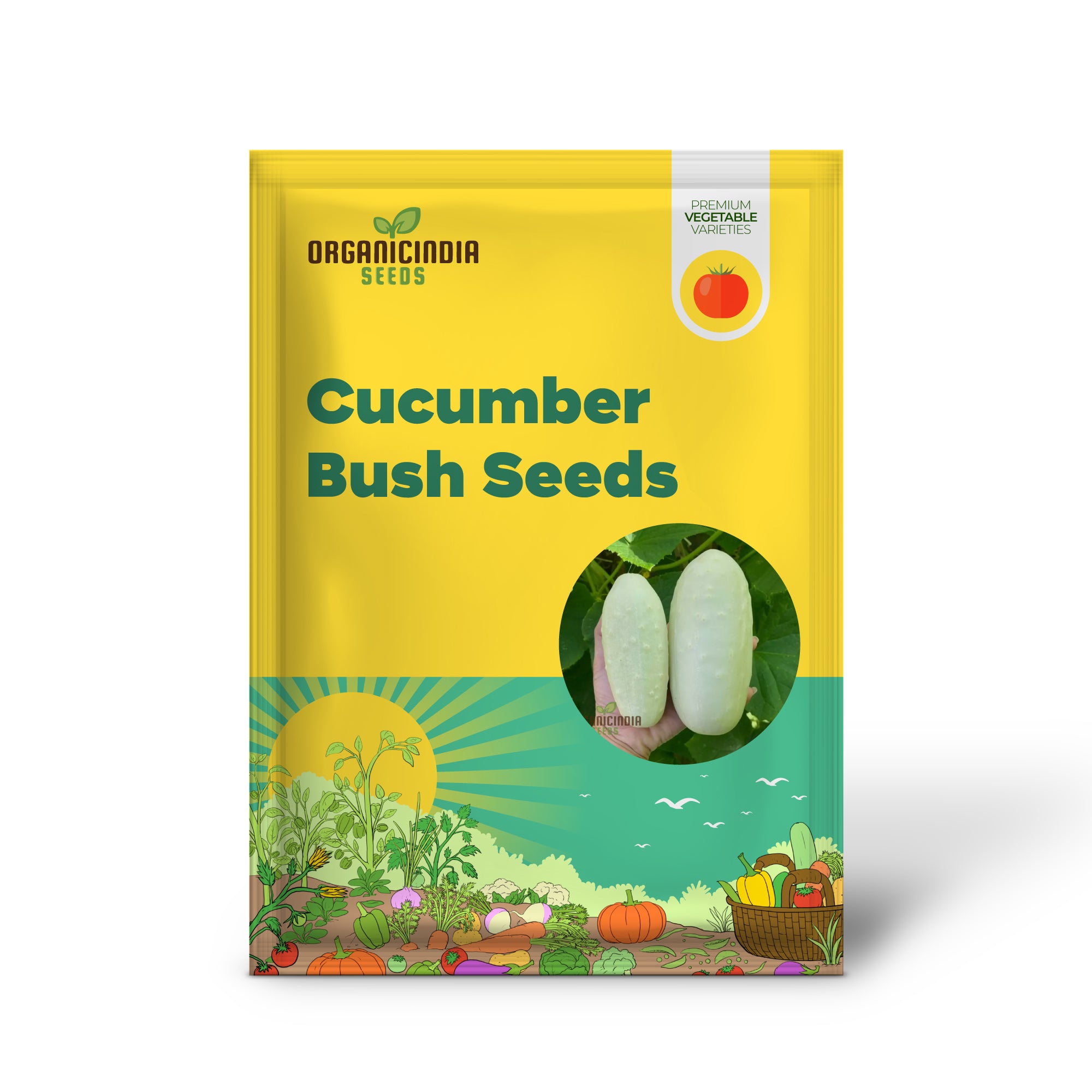 Bush Cucumber Seedling Growing in Container, Easy-to-Grow Seeds