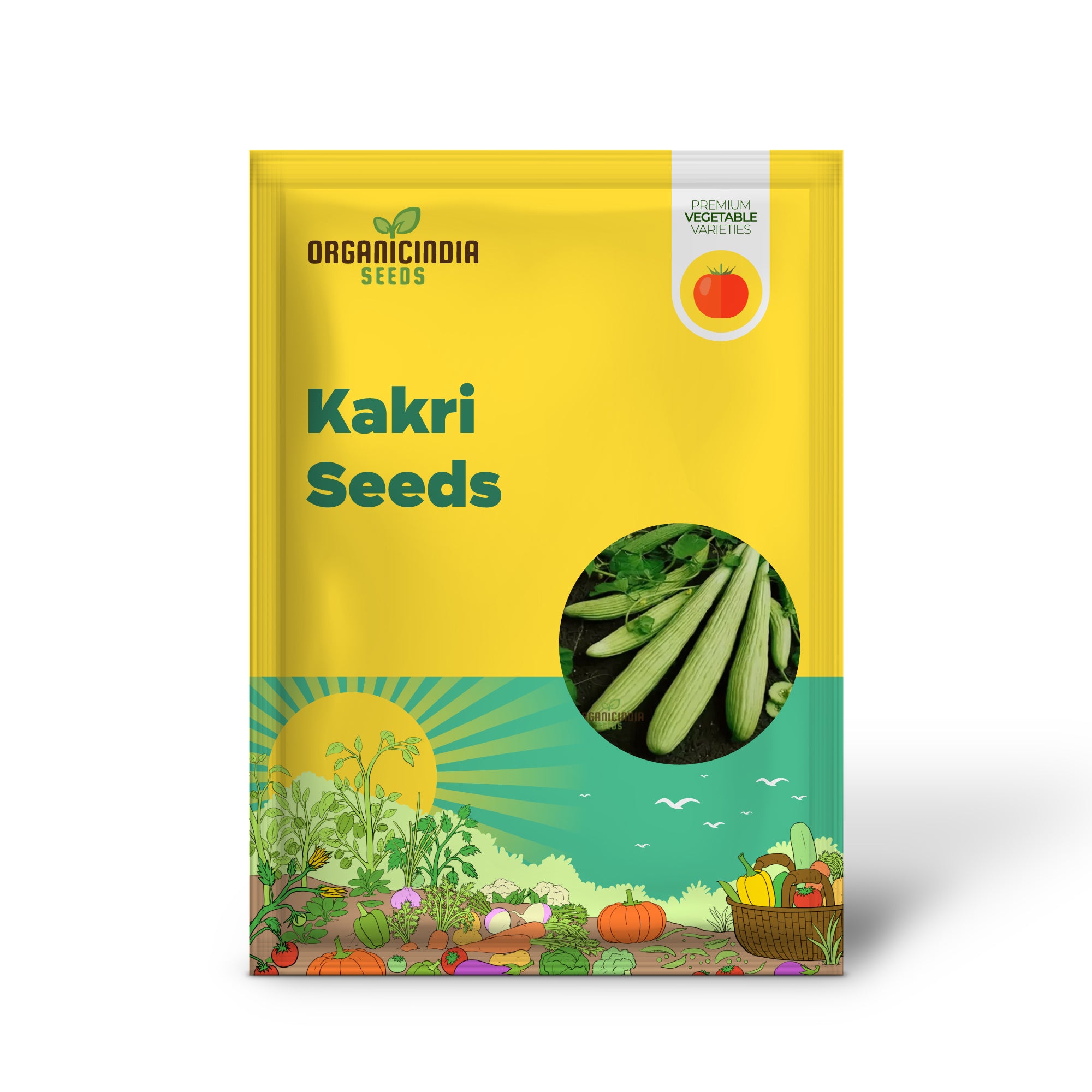 Kakri Cucumber Seedling in Garden, High-Yield Vegetable Plants