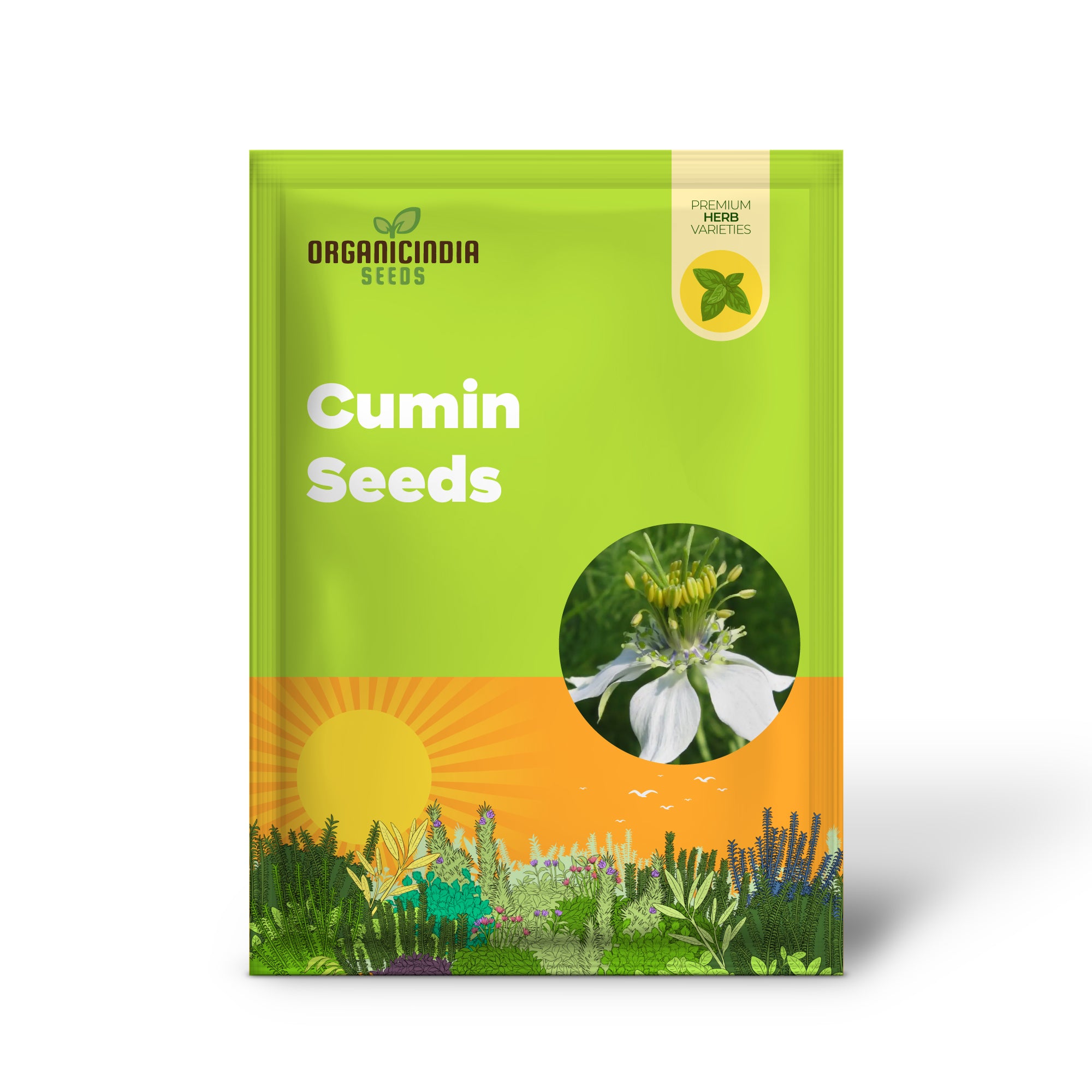 Close-up of Cumin Seeds – Organic, Aromatic Herb Seeds for Growing