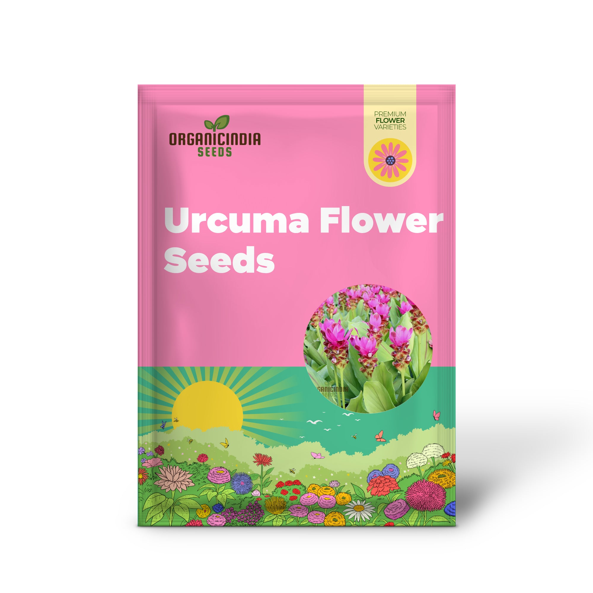 Curcuma pink bloom seeds for home garden planting