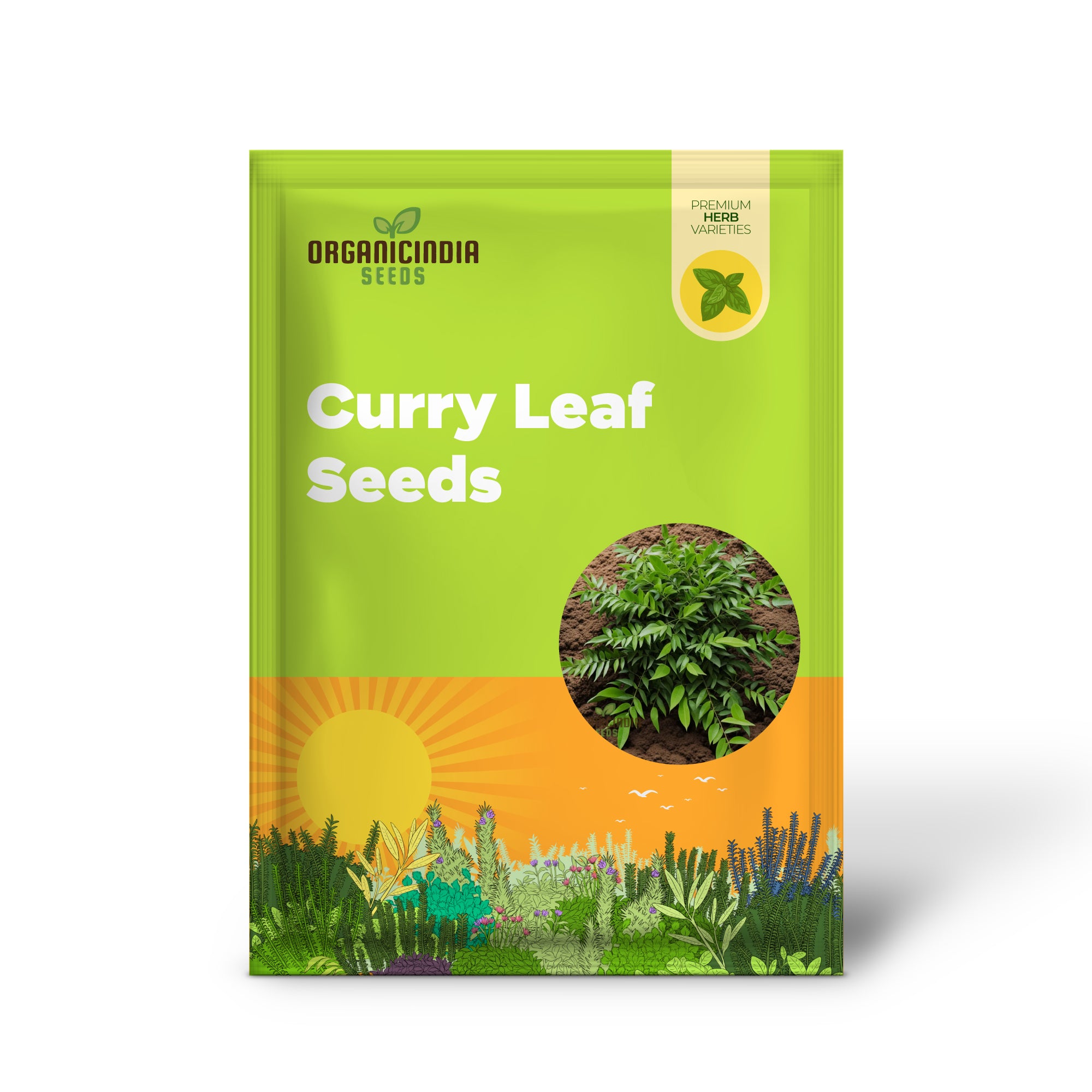 Non-GMO Curry Leaf Seeds for Home Garden Planting