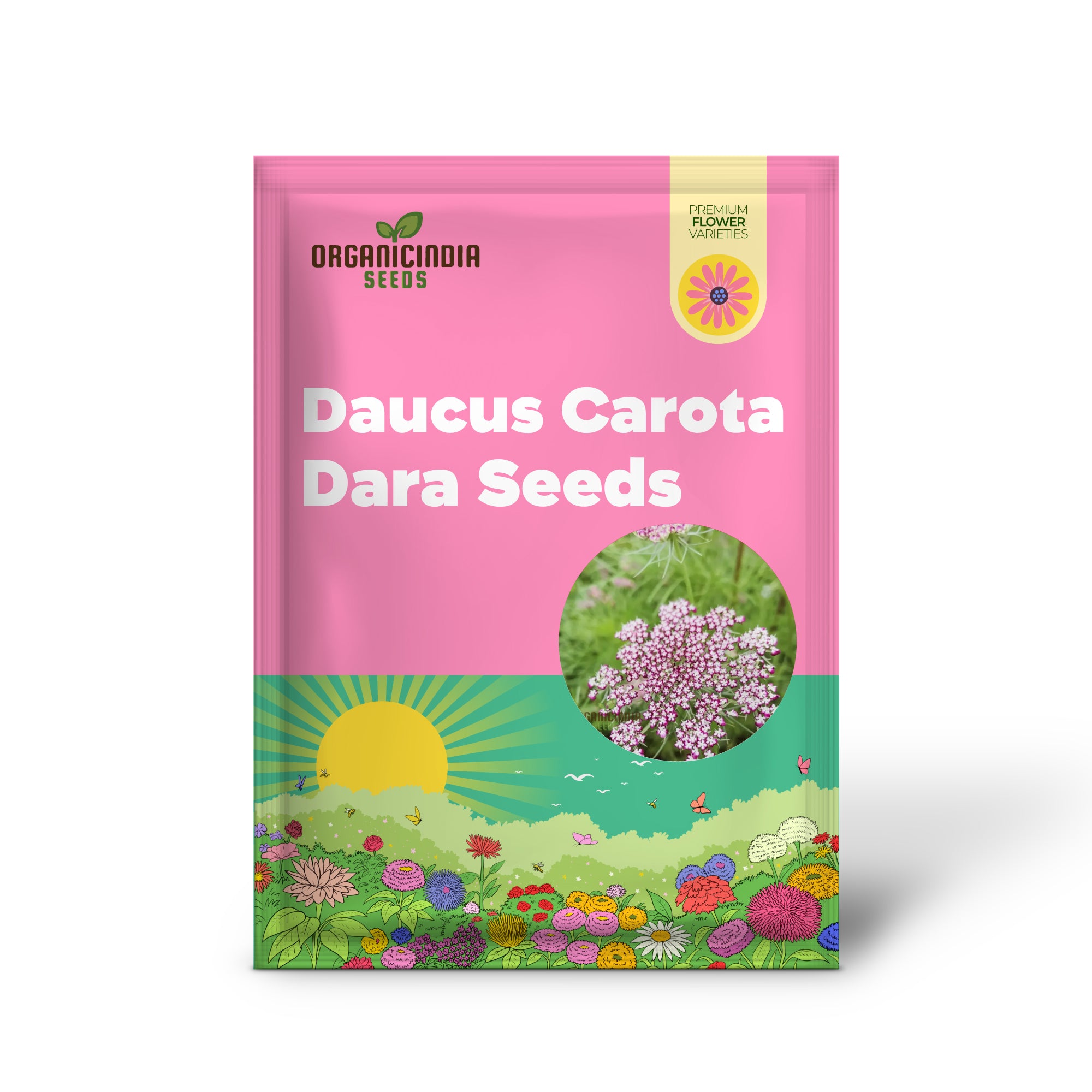 Dara Flower Seeds for Ornamental Carrot Blooms in Garden Borders
