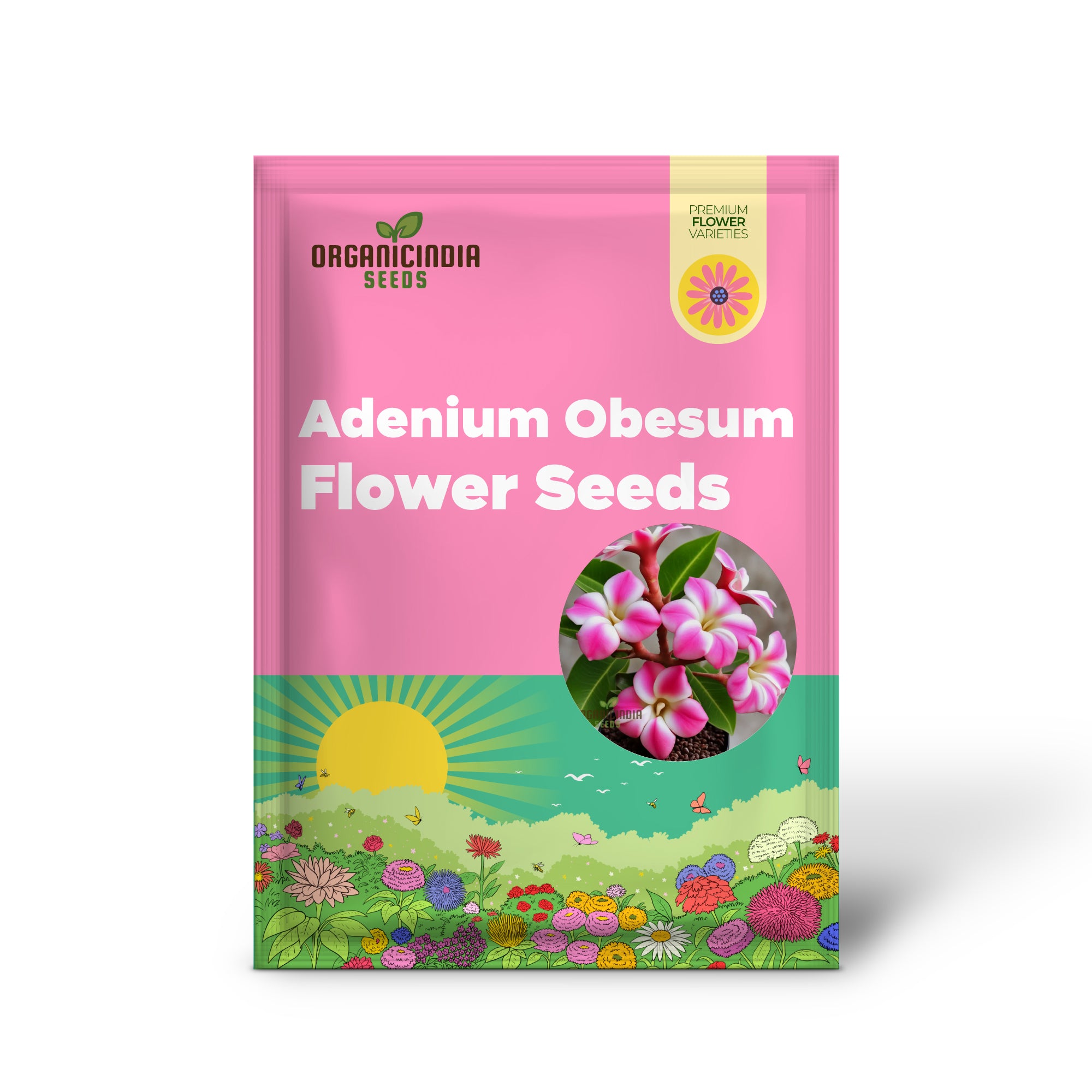 Desert Rose Plant with Pink Flowers