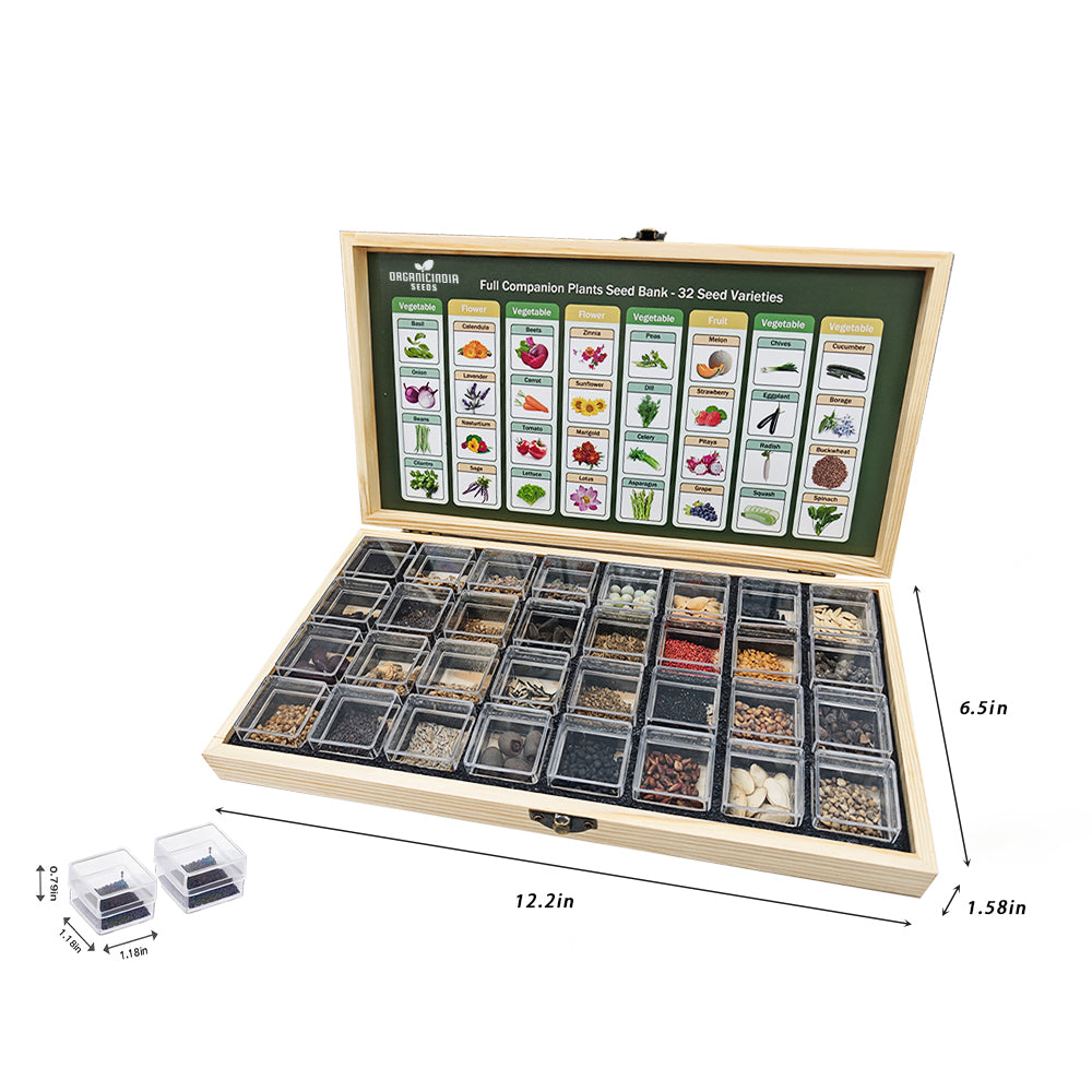 Diverse Gardening Seeds Collection Featuring 32 Mixed Varieties