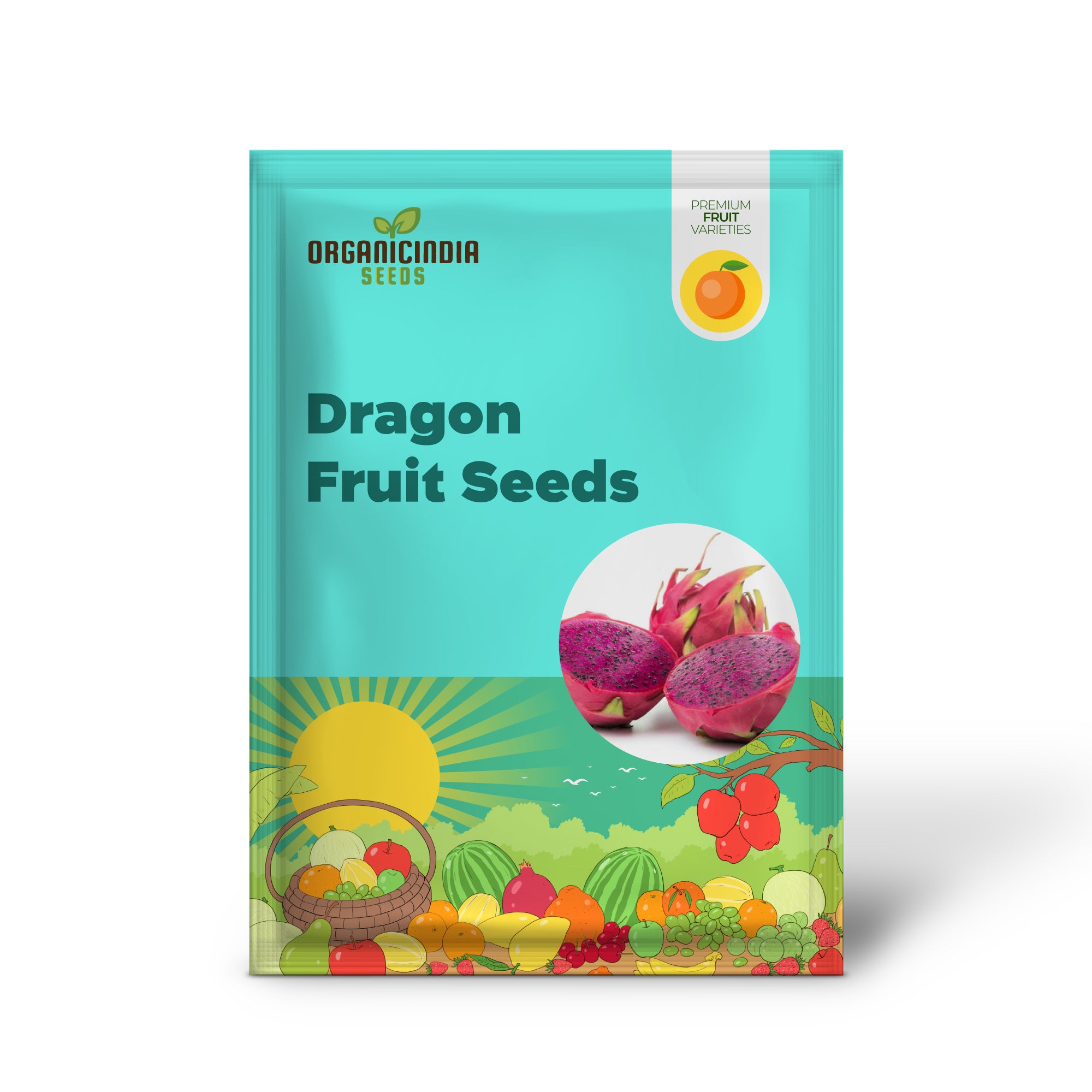 Purple Dragon Fruit Seedlings Growing Indoors