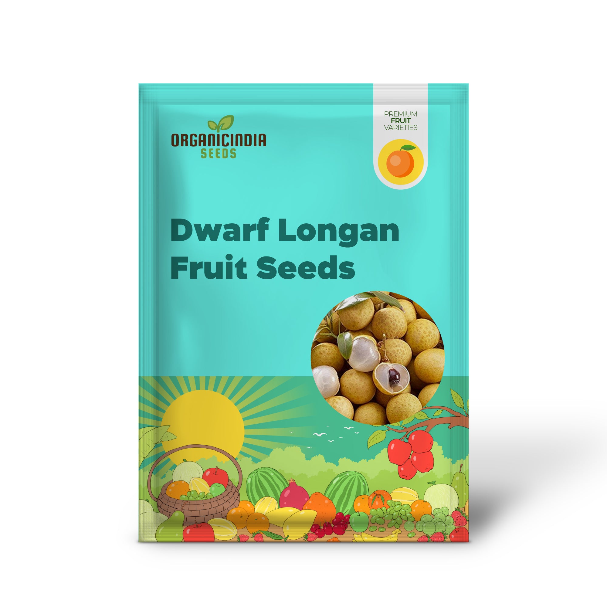 Dwarf Longan seedlings growing in warm garden soil