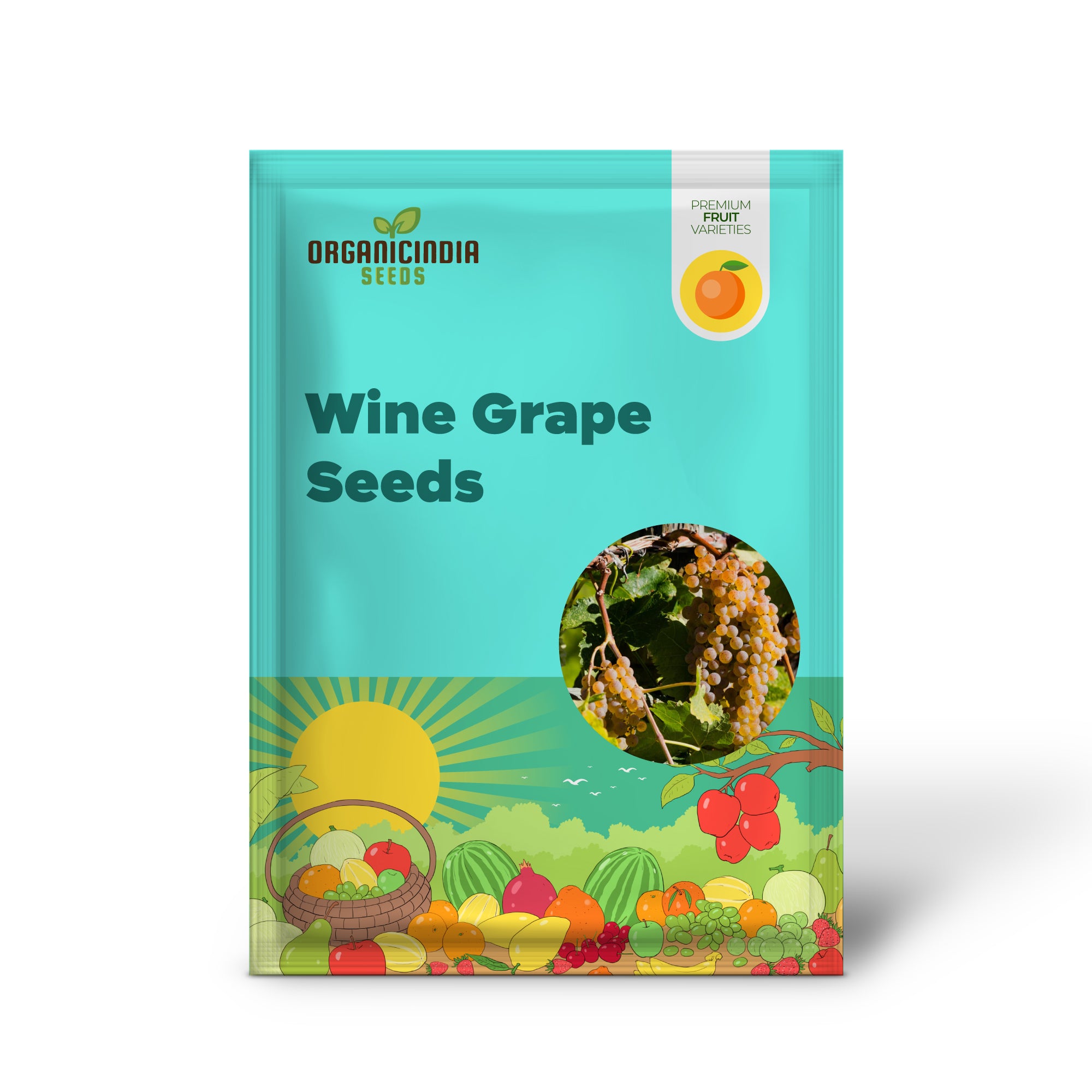 European Wine Grape Vine with Bunches of Grapes – Grown from Seeds