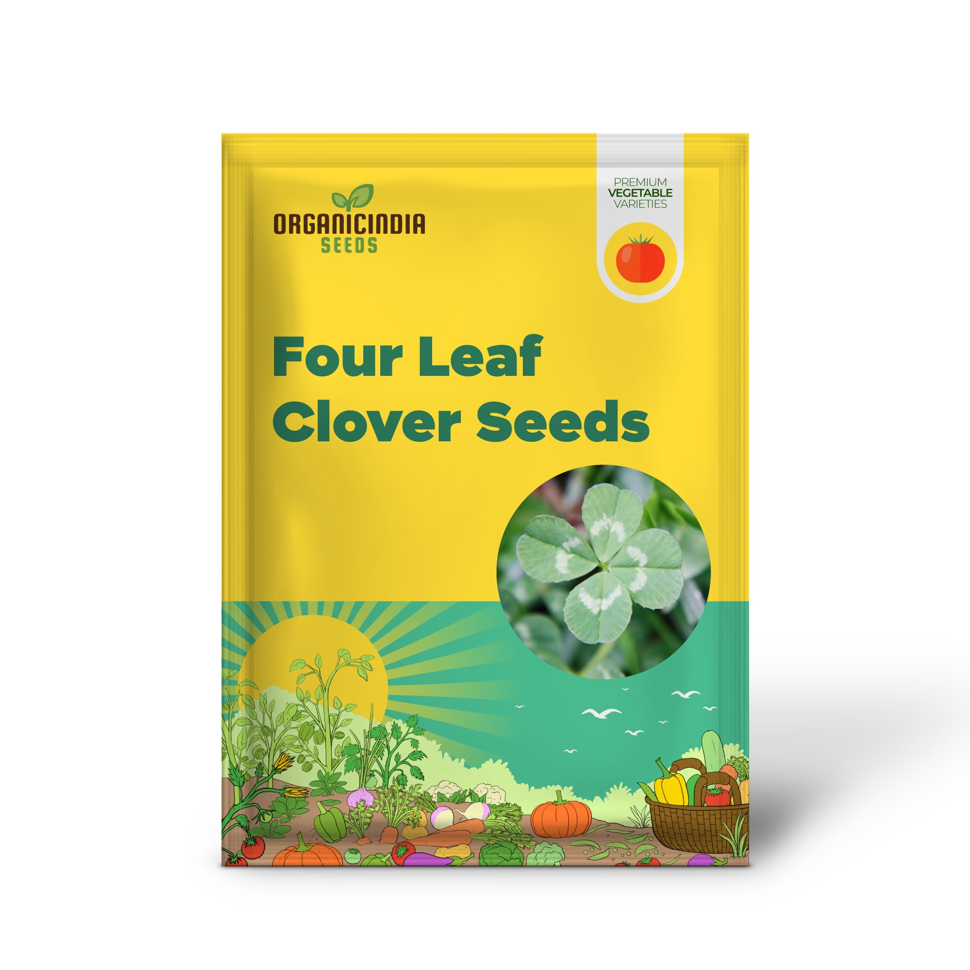 Four Leaf Clover Seedling, Easy-to-Grow Indoor and Outdoor Seeds
