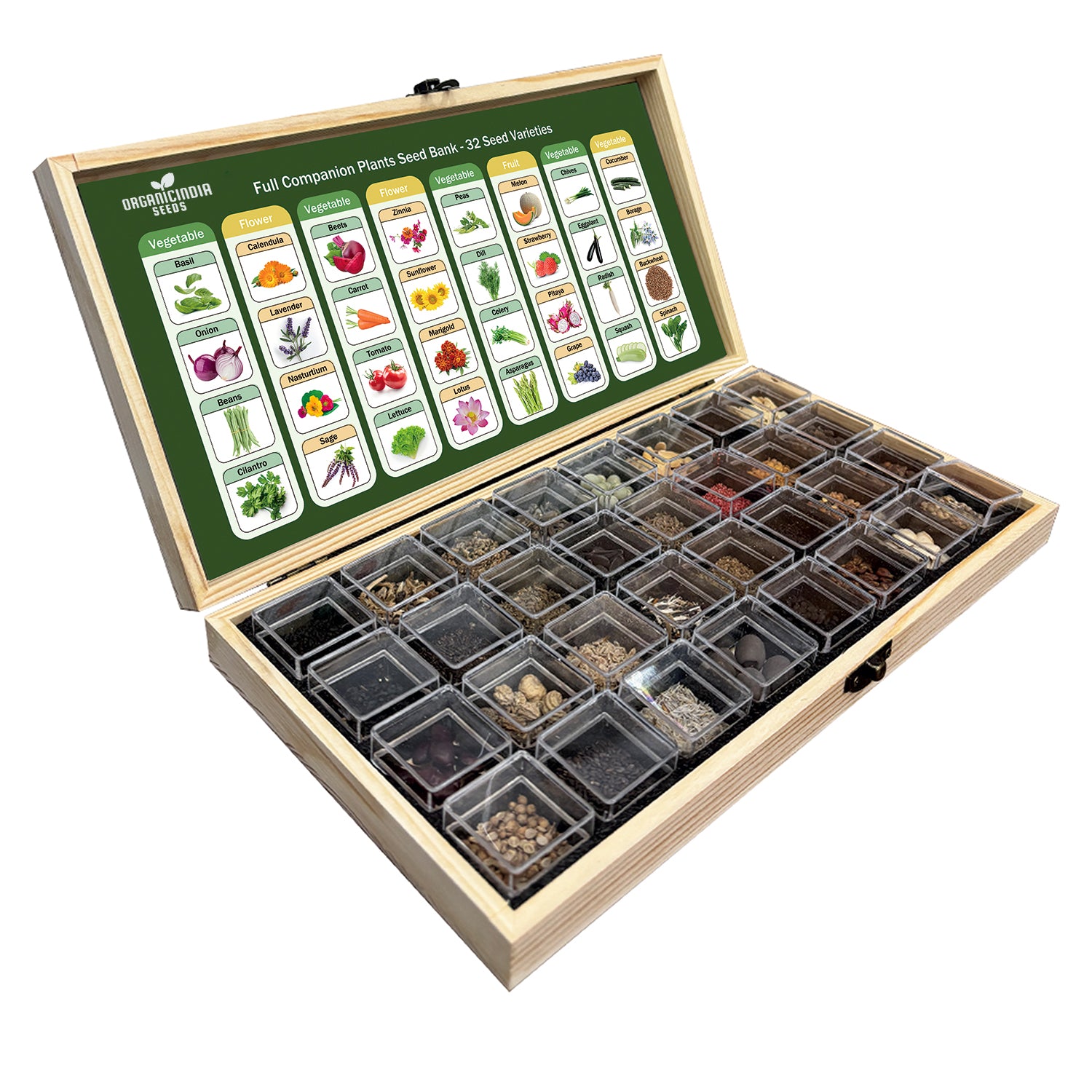 Garden Seed Bank with 32 Mixed Seeds for Seasonal Planting
