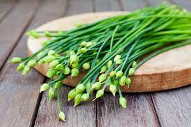 Garlic Chives Seeds Grown in Containers – Perfect for Small Gardens
