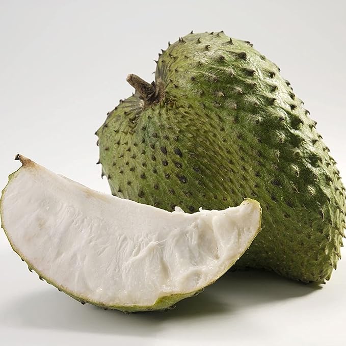 Giant Annona Fruit Seeds for Tropical Home Gardens