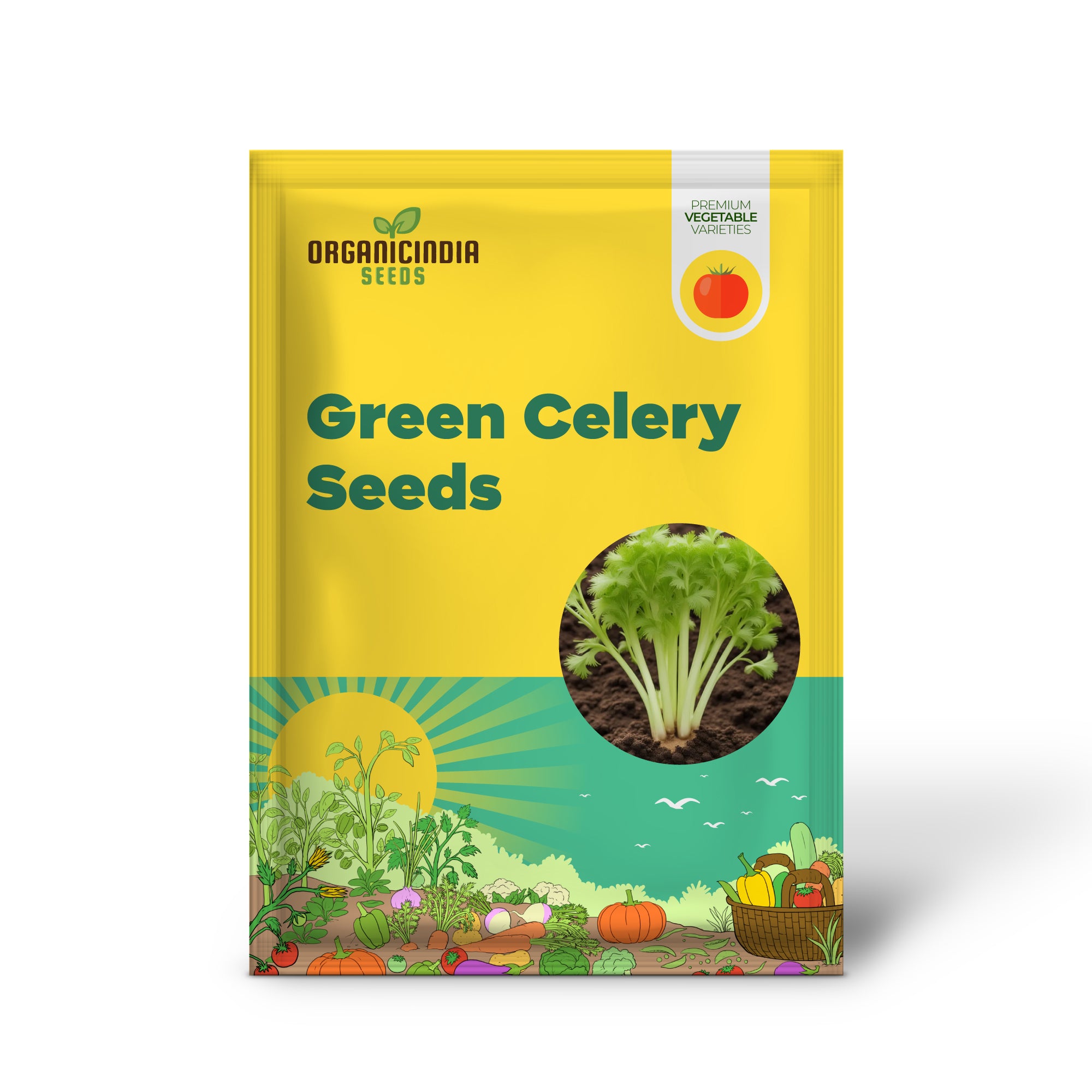 Celery Seedling for Home Garden, Easy-to-Grow Giant Green Vegetable Seeds