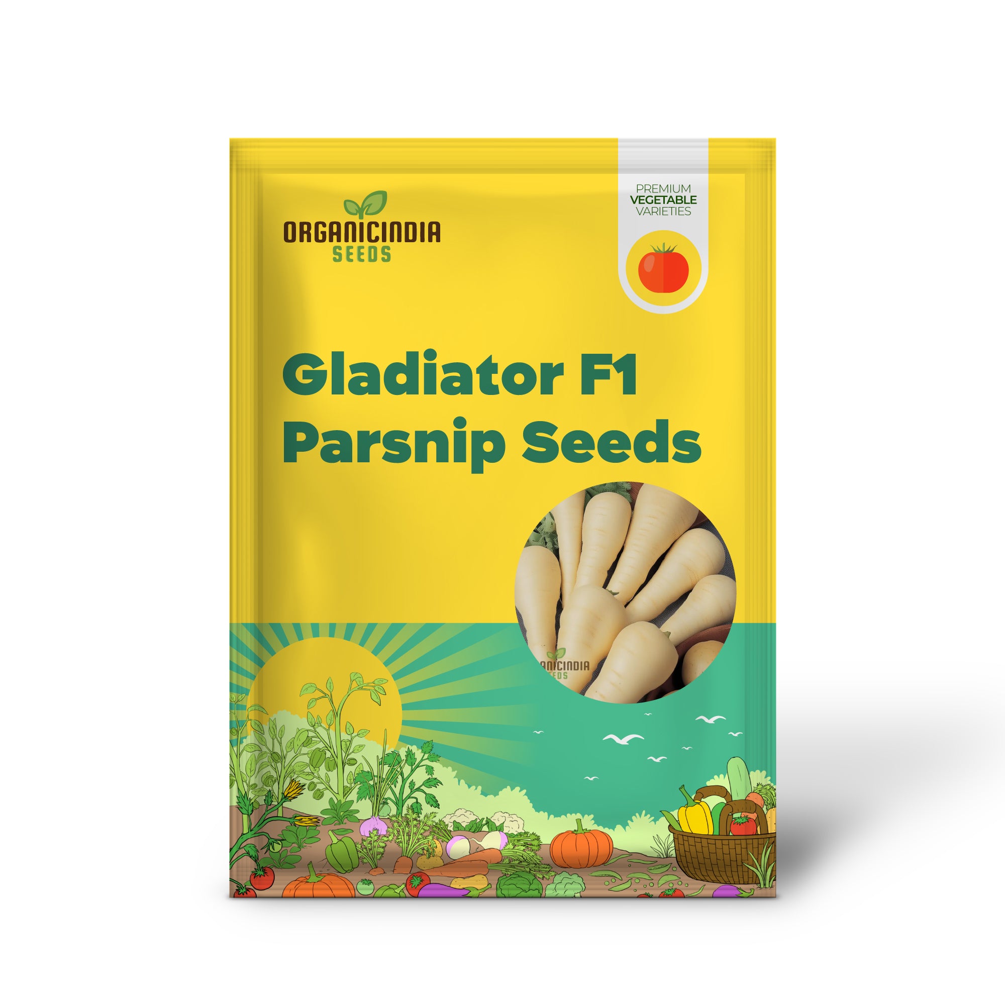 Gladiator F1 Parsnip Seedlings Growing, Easy-to-Grow Parsnip Seeds