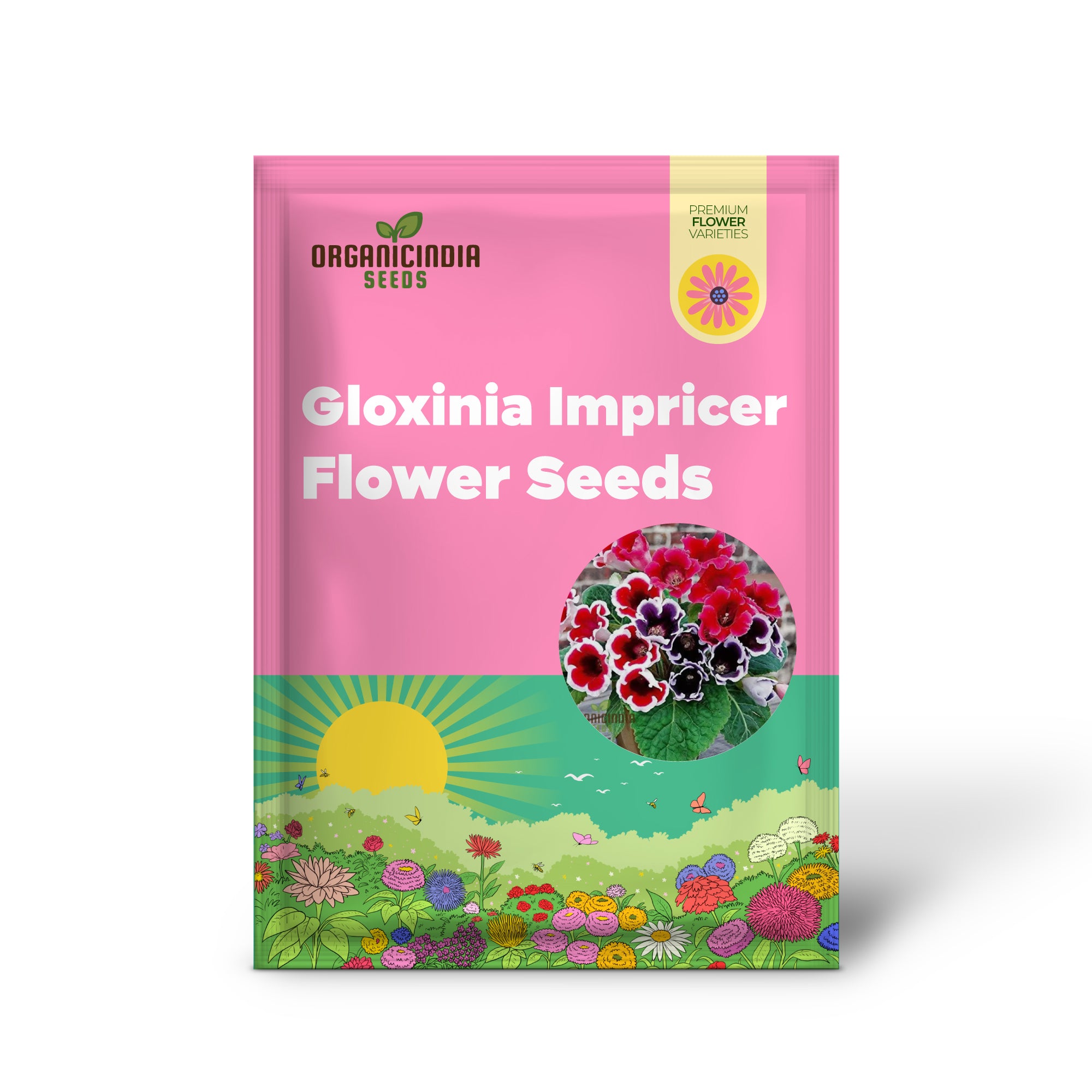 Gloxinia mixed color seeds for indoor planting