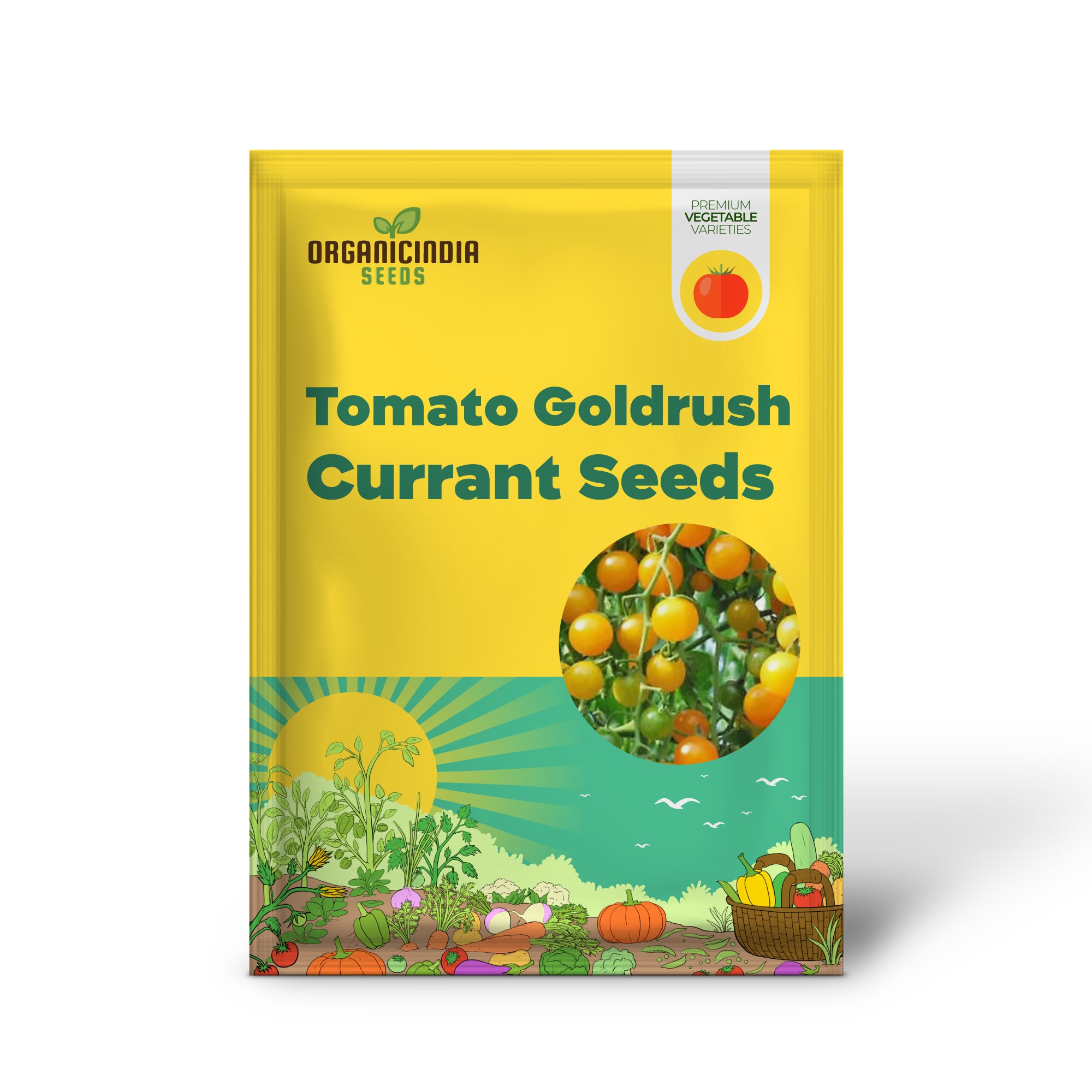 Goldrush Currant Tomato Seedling Growing, Easy-to-Grow Tomato Seeds
