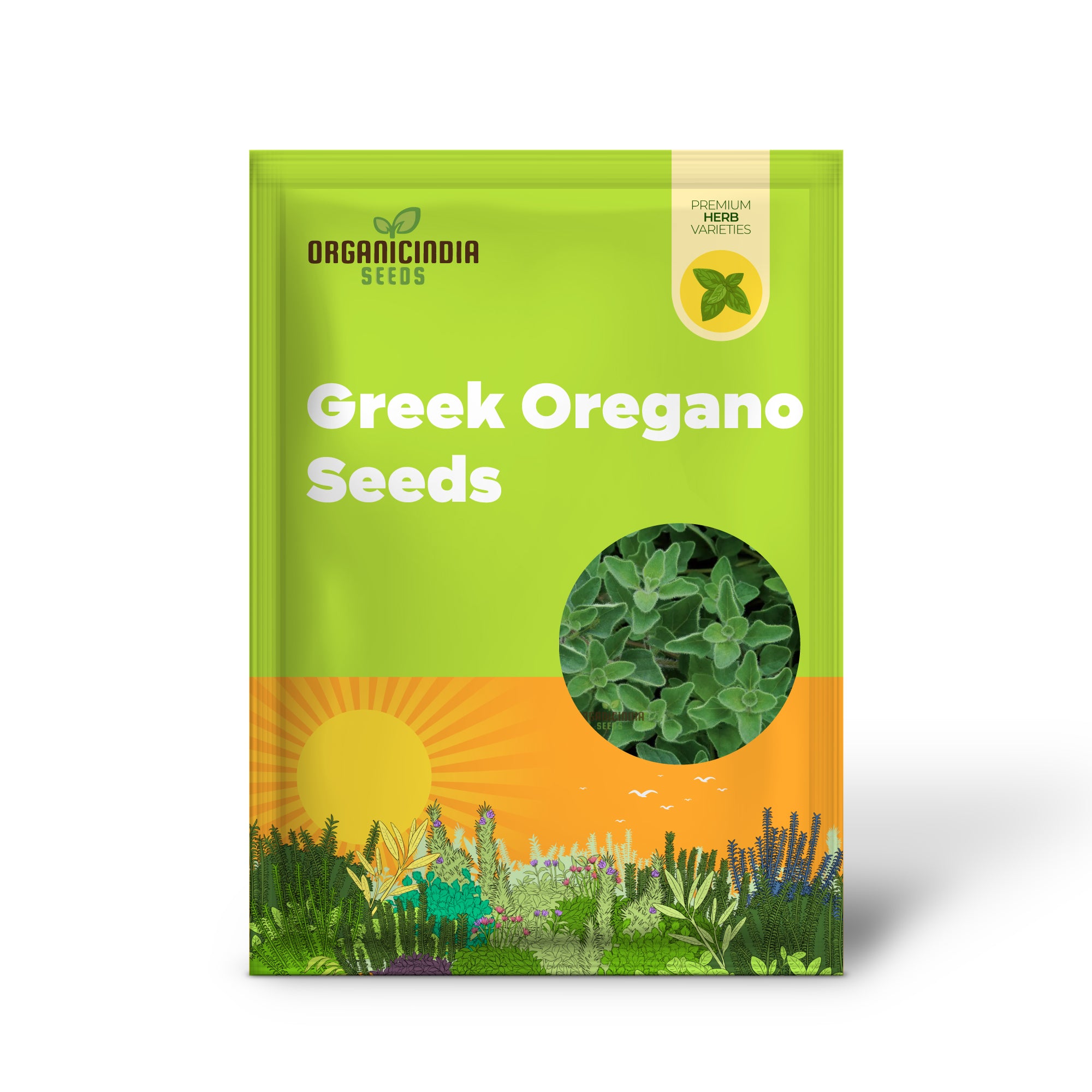 High Germination Greek Oregano Seeds for Home Gardens