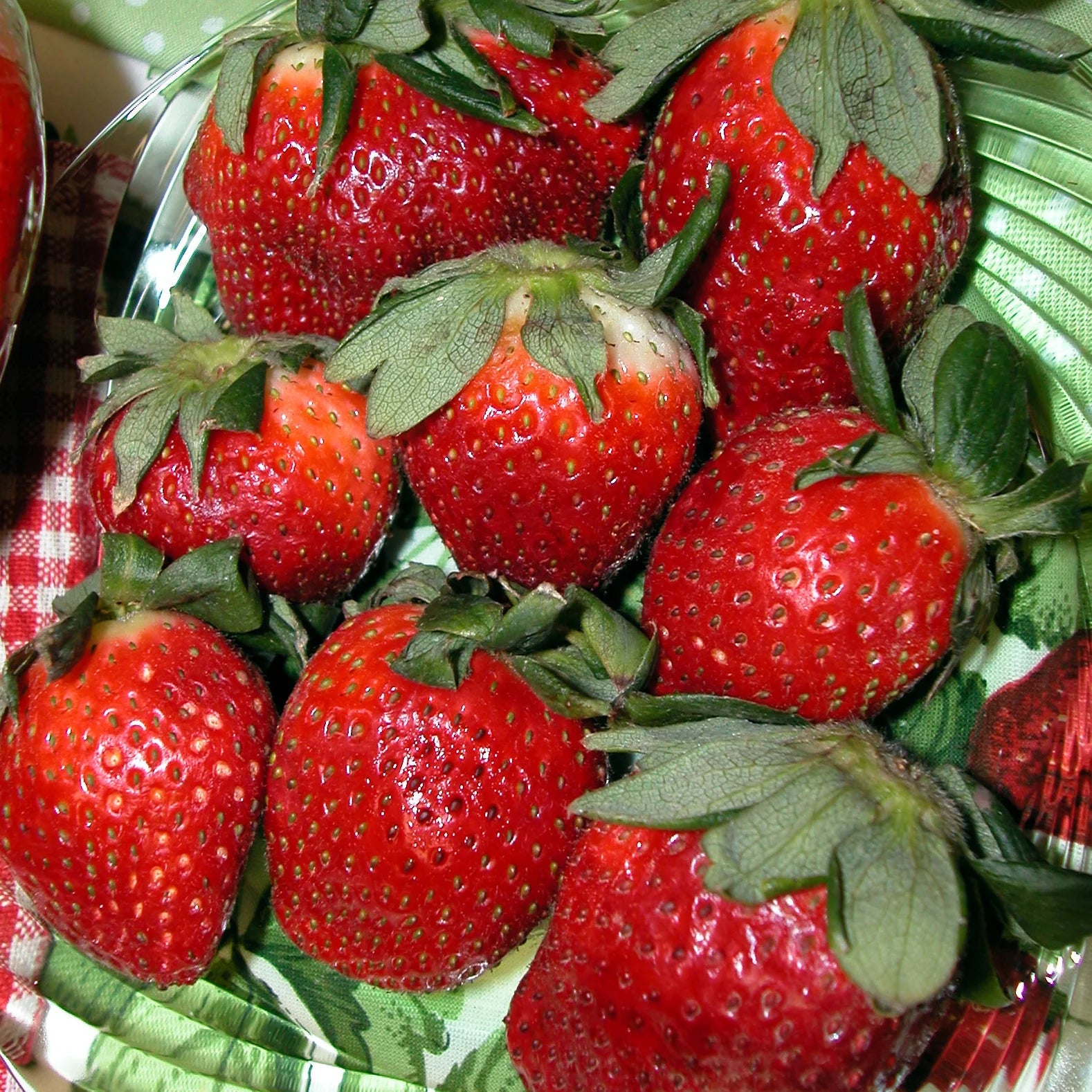 Harlequin strawberry seeds non GMO for planting