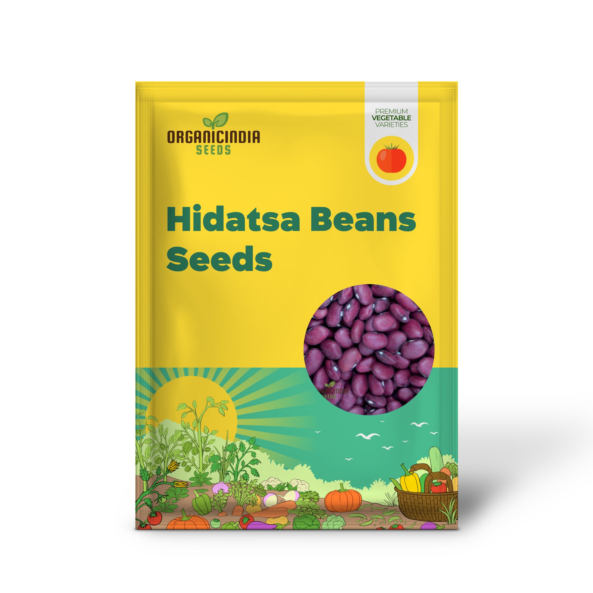 Hidatsa Red Bean Seedlings for Home Garden, Easy-to-Grow Heirloom Beans