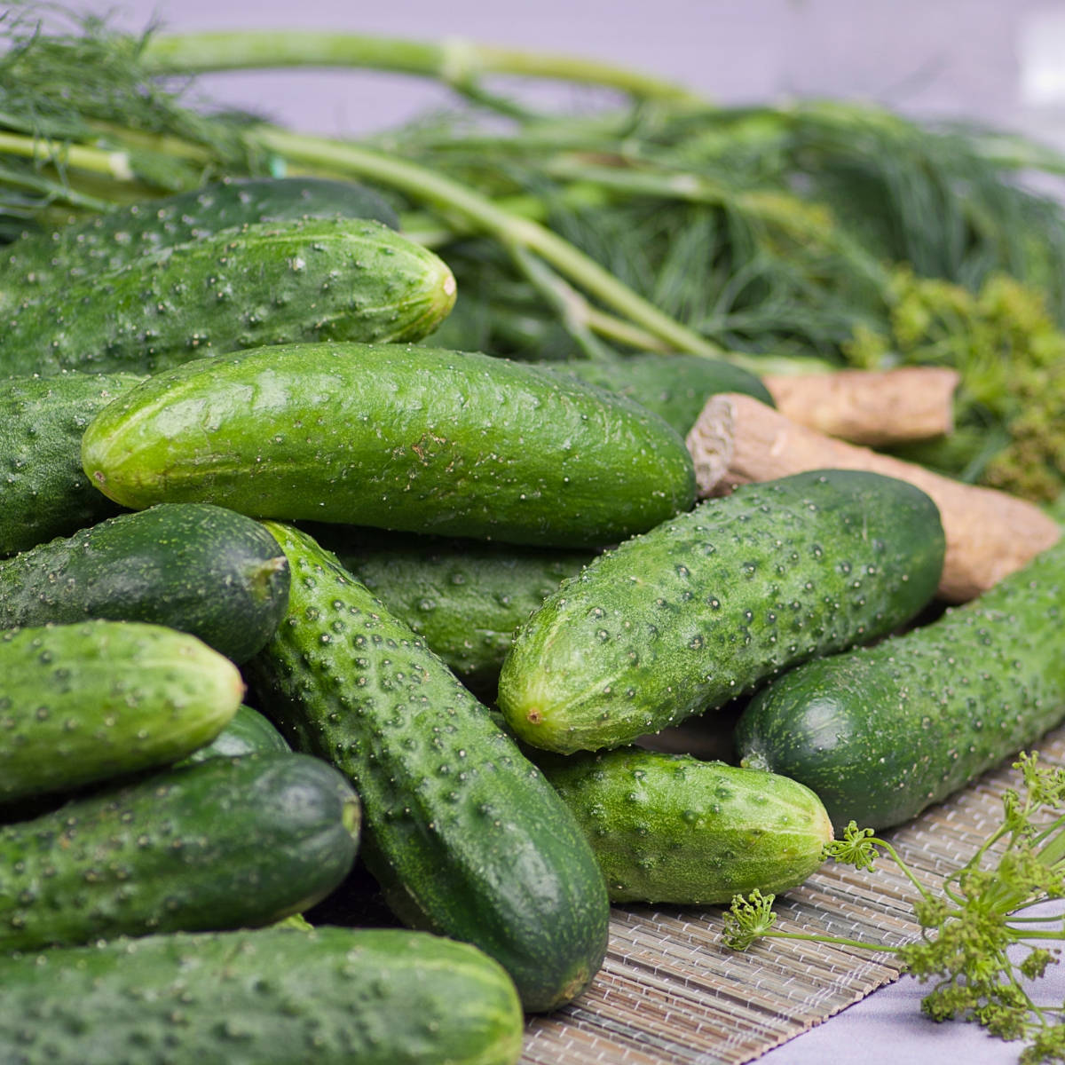 Homemade Pickles Cucumber Seeds Heirloom Crisp Prolific Variety