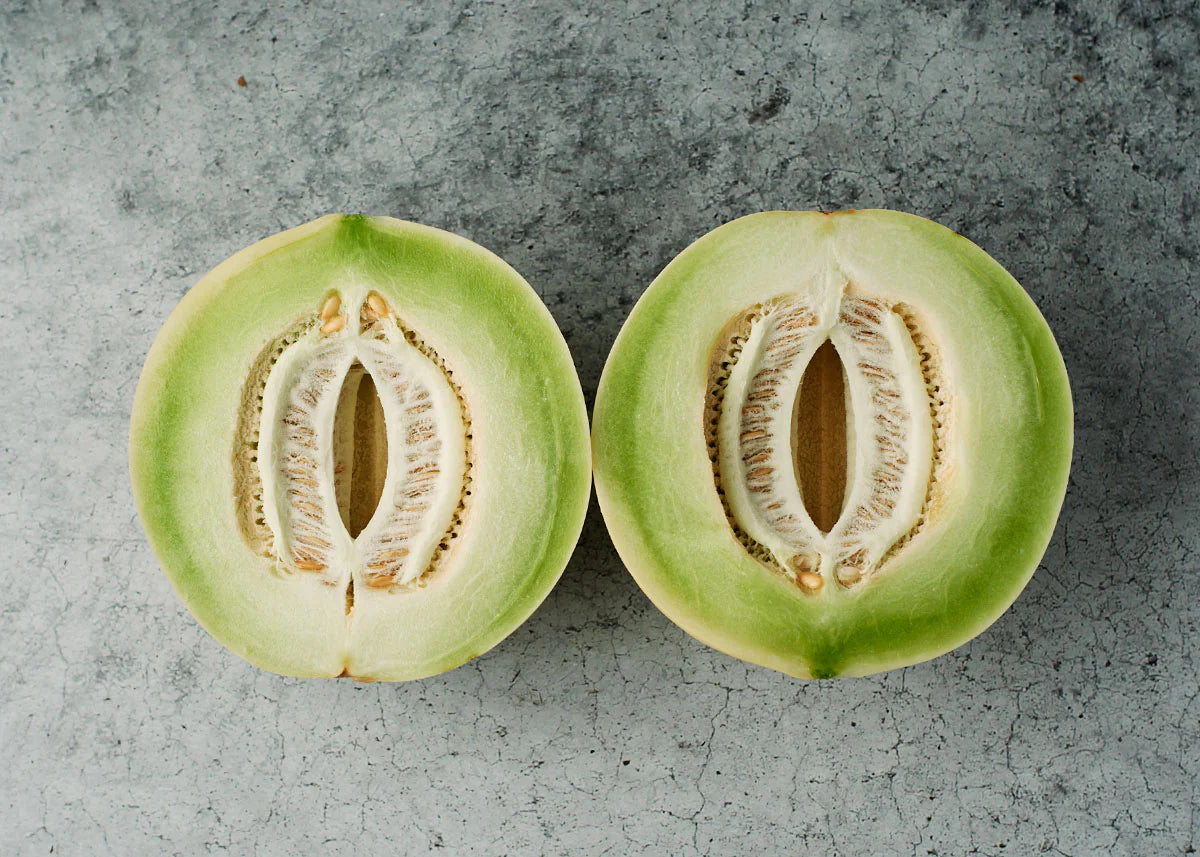 Honeydew Melon Plant Growing in Garden – Melon Vine Seeds