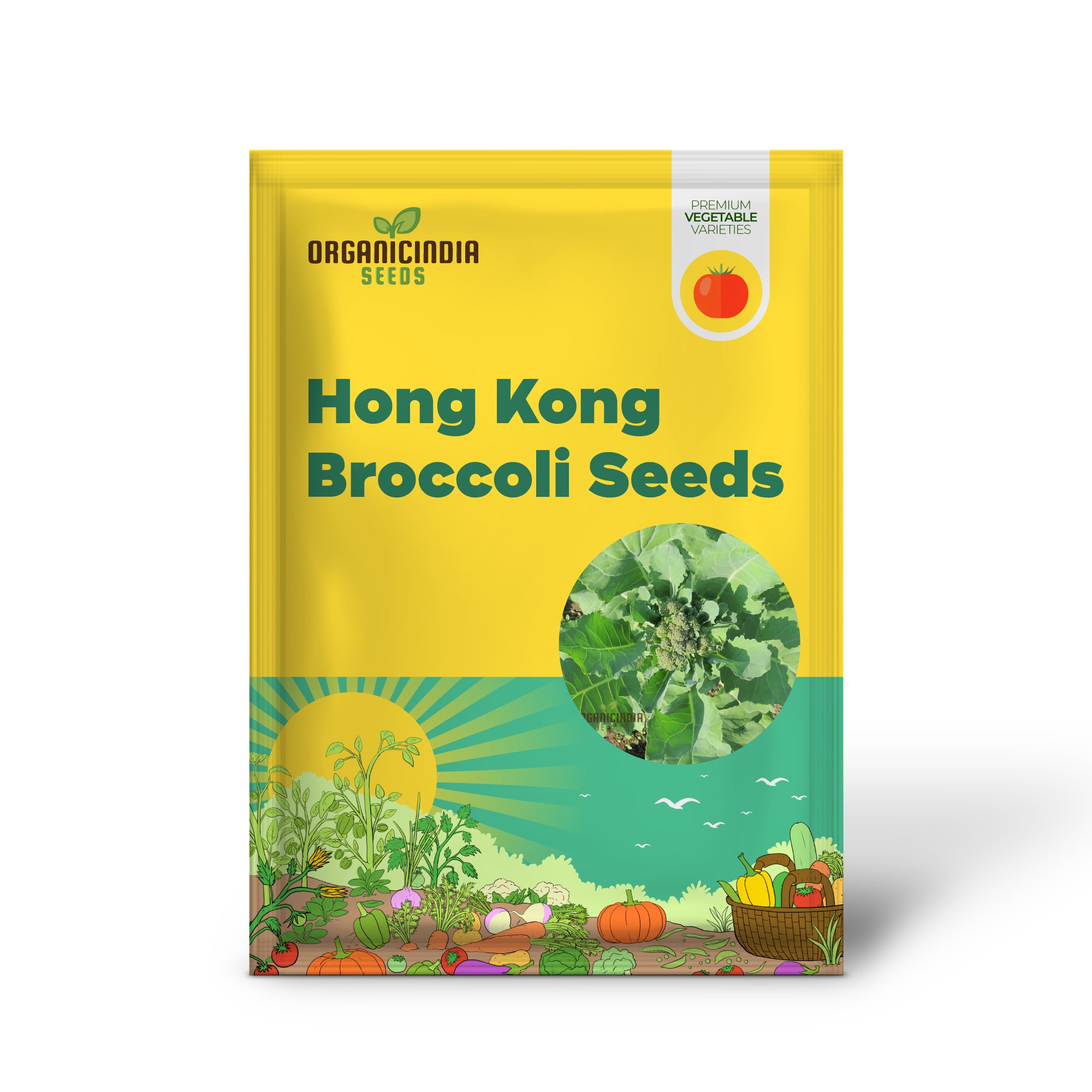 Broccoli Seedling from Hong Kong Seeds, Easy-to-Grow Vegetable Plant