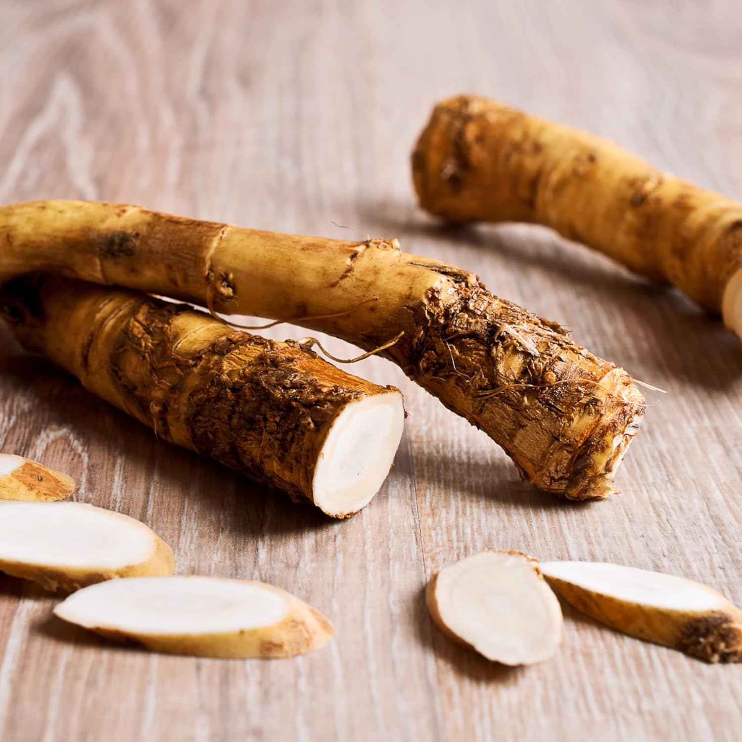 Red Cloe Horseradish Seedling, Easy-to-Grow Perennial Vegetable Seeds