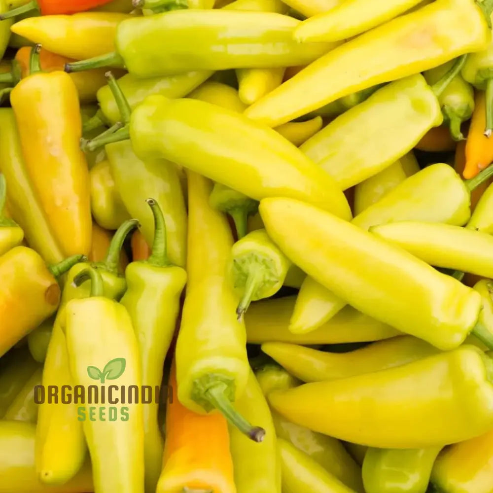 Hungarian Yellow Wax Hot Chilli Seeds for Planting, Home Garden Pepper Seeds