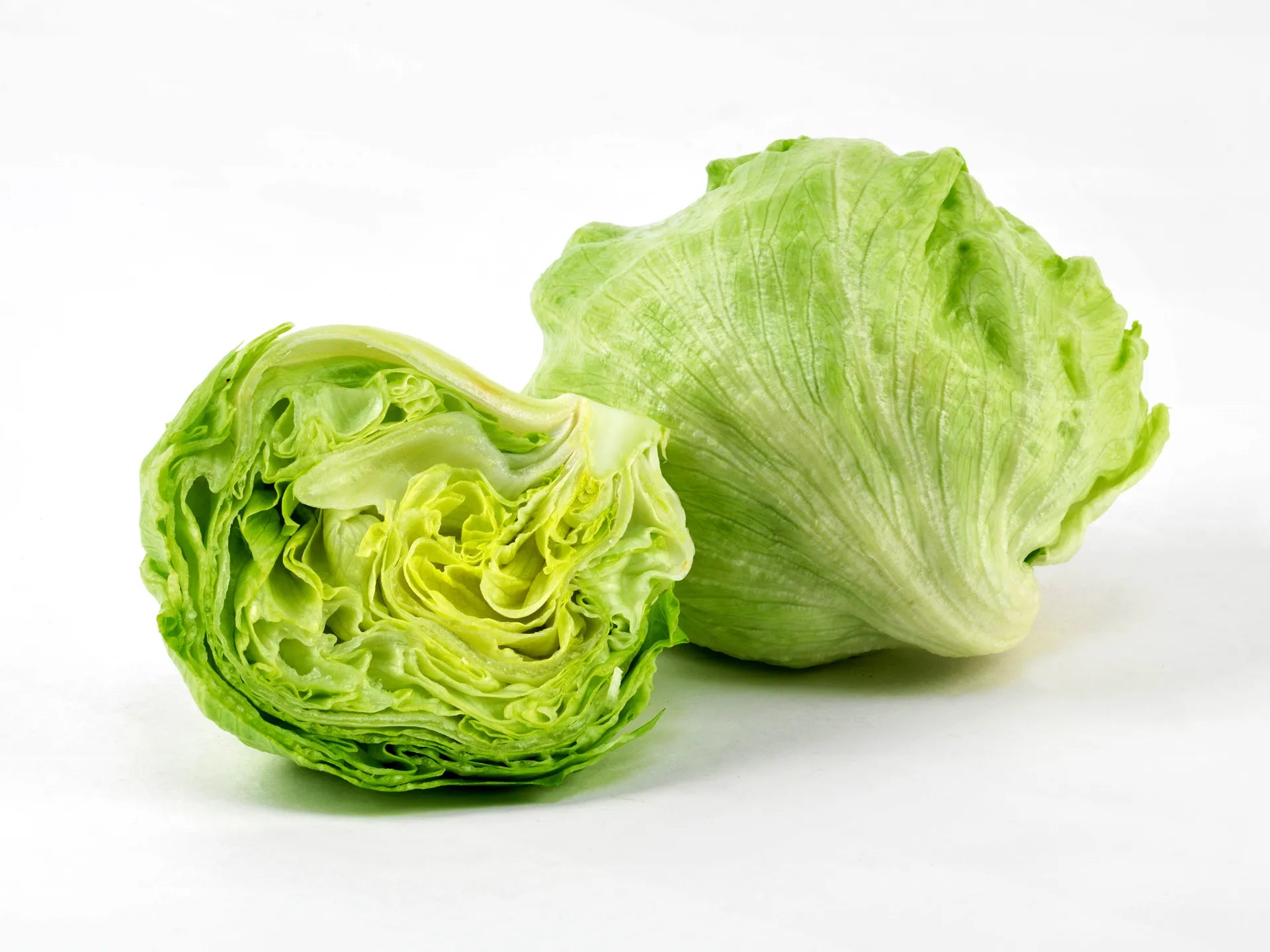 Mature Iceberg Lettuce Plant from Seeds, Crisp Leaf Greens