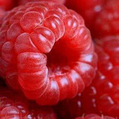Semillas de fruta de frambuesa roja