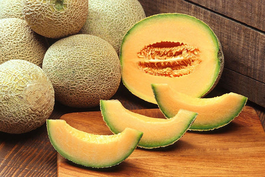 Las mejores semillas jumbo de melón cantalupo de Hale's