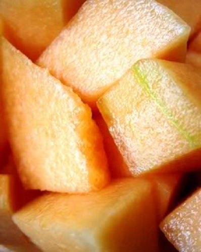 Melón Cantalupo Iroquois (Cucumis melo) – Semillas de Fruta