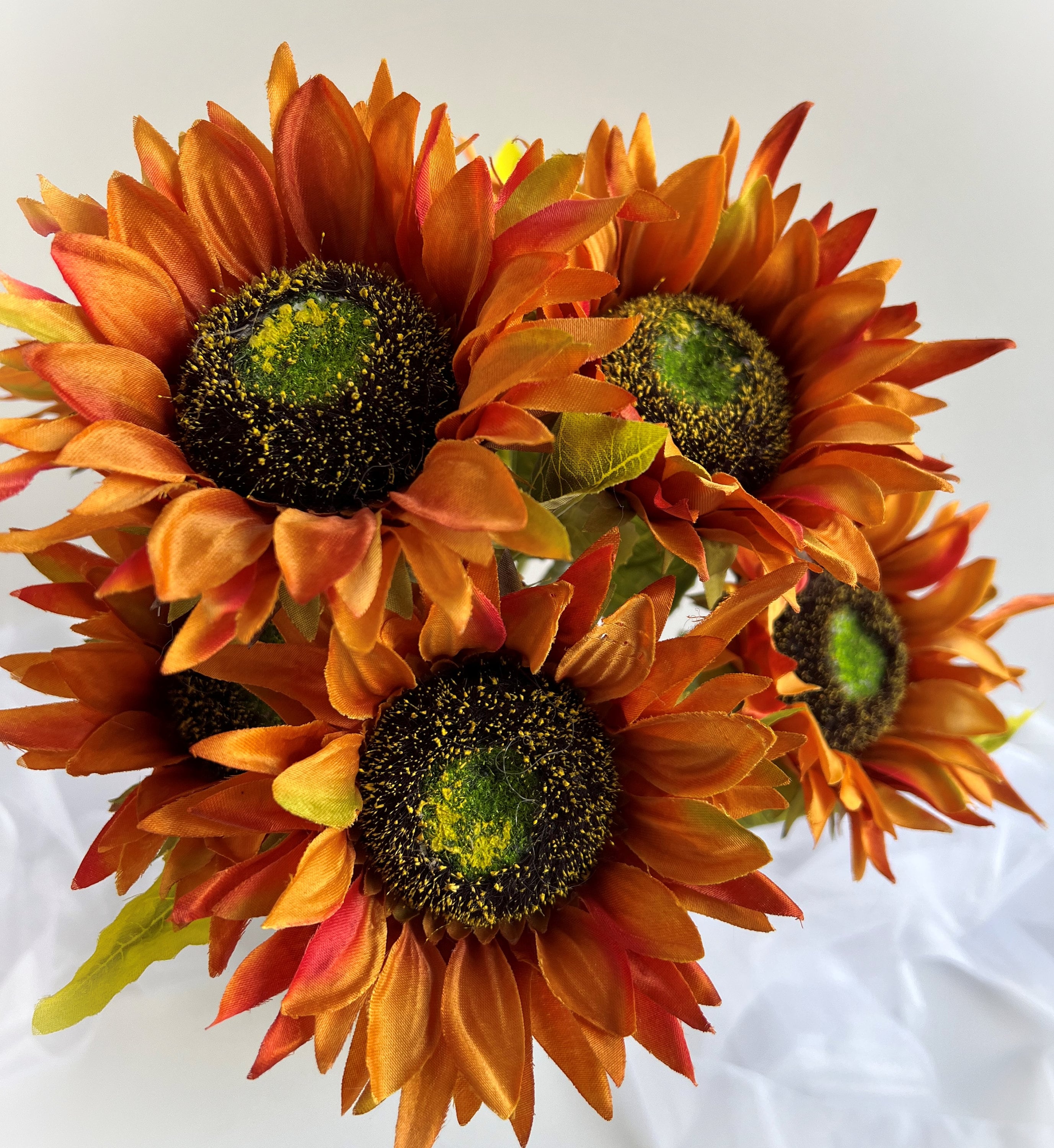 Semillas de Girasol Naranja Dorado – Flores Ricas y Vibrantes para Jardines y Paisajes
