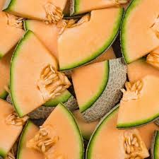 Iroquois Cantaloupe Melon (Cucumis melo) – Fruit Seeds