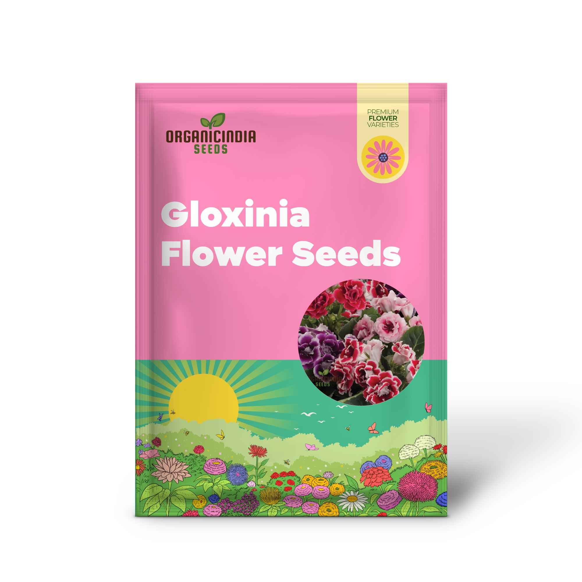 Indoor Gloxinia seeds compact flowering plant