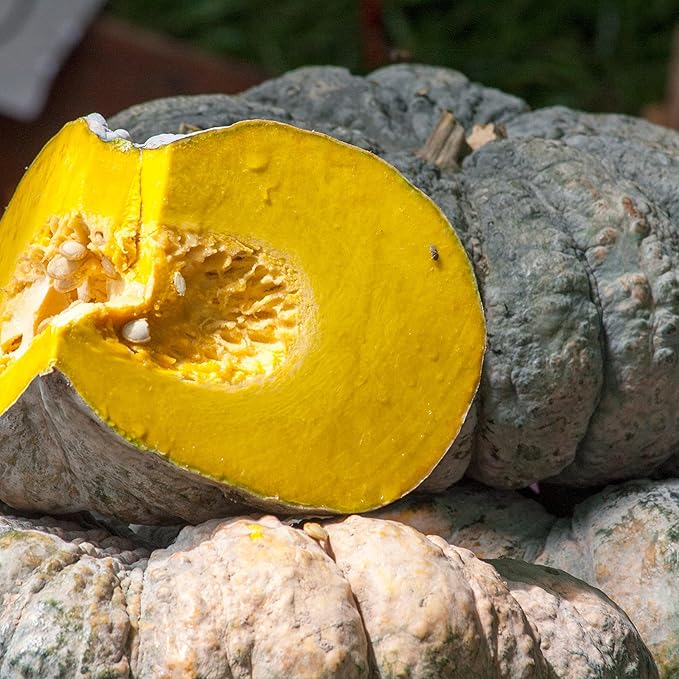 Japanese Green Pumpkin Seeds for Planting – Traditional Heirloom Variety