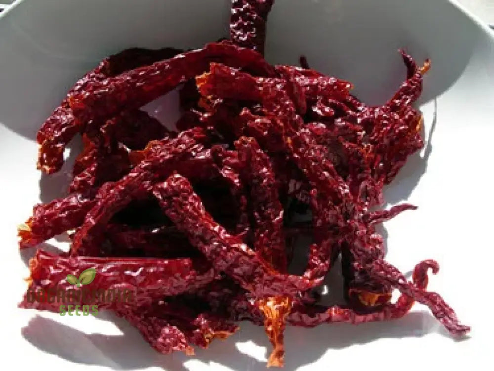 Fresh Kashmiri Mirchi Chili Peppers from Seeds, Mild to Medium-Hot Culinary Chili