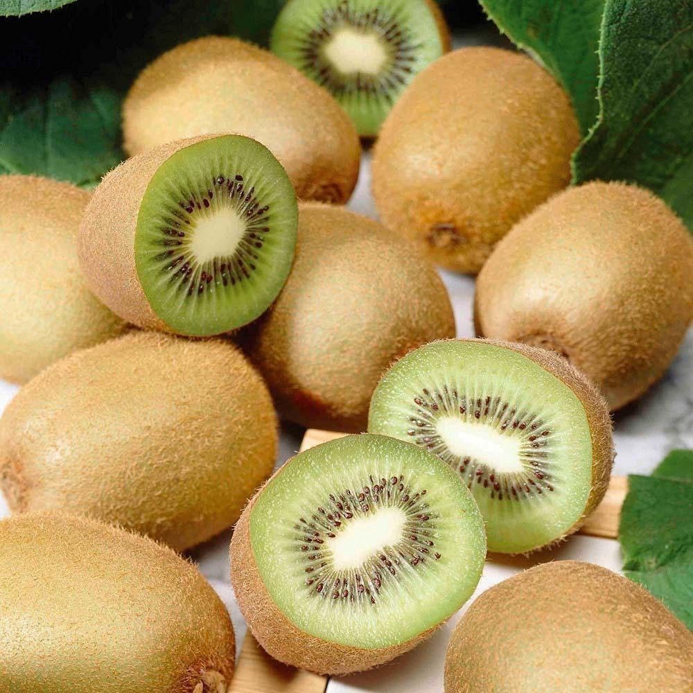 Kiwi Fruit Vine Seeds – Actinidia deliciosa for Home Garden Planting