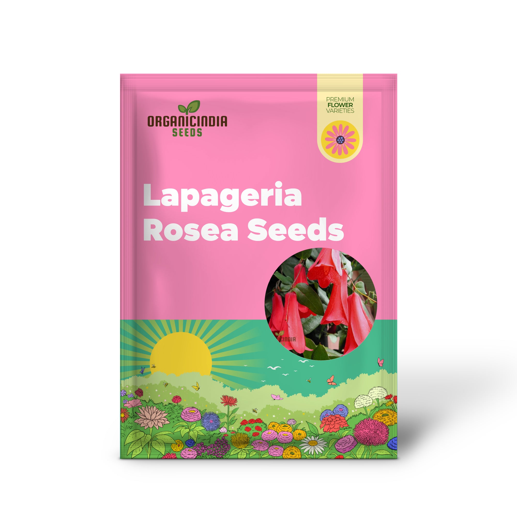 Non GMO Lapageria Rosea seeds for home garden