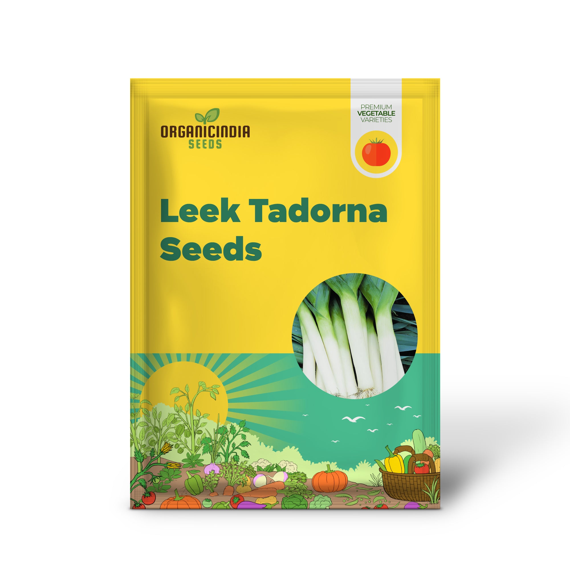 Tadorna Leek Seedlings Growing in Garden, Tender and Upright Stalks