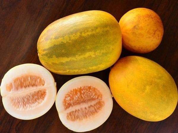 Lemon Cucumber Plants Growing on Vine