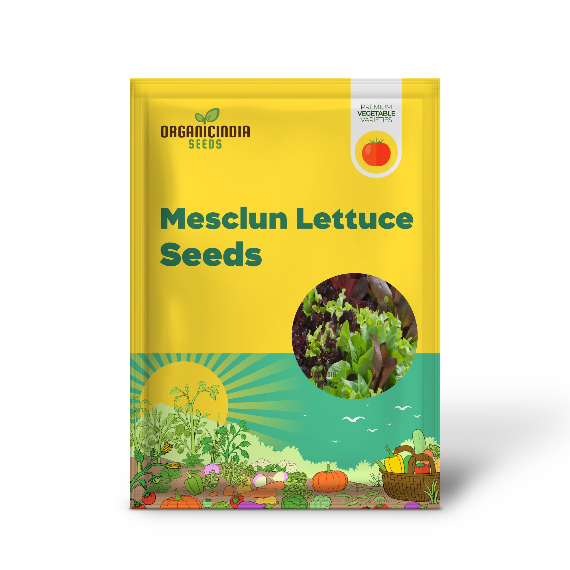 Mixed Leaf Mesclun Lettuce Seedlings Growing from Seeds, Home Garden Vegetable